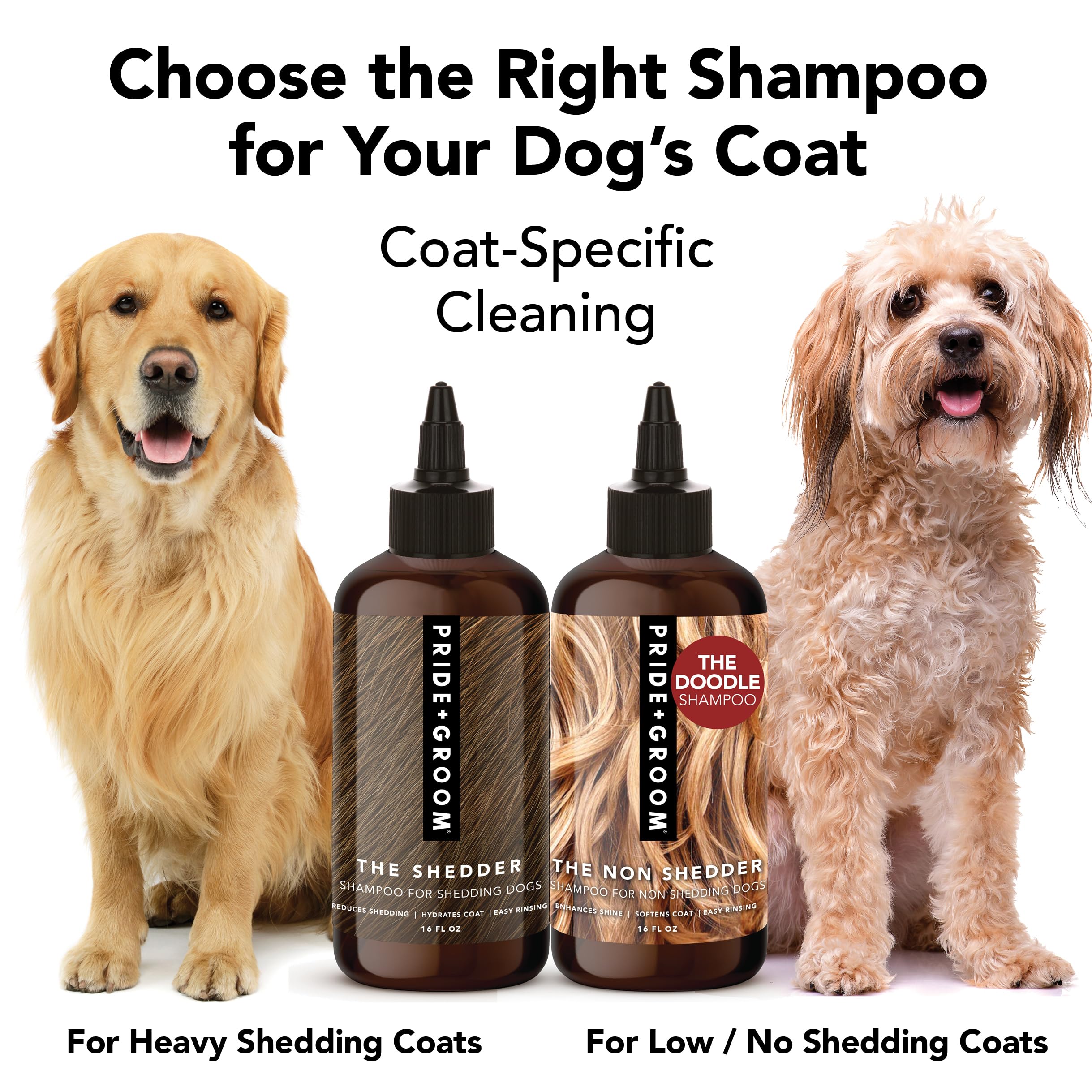 Pride and Groom The Shedder creates a rich lather to nourish curly coats.