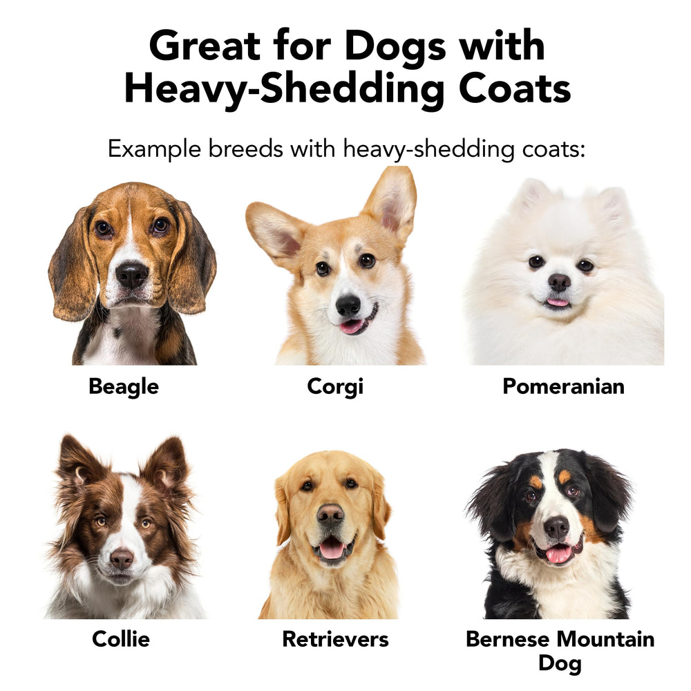 Sixteen-ounce The Shedder bottle offers a premium scent for grooming rituals.