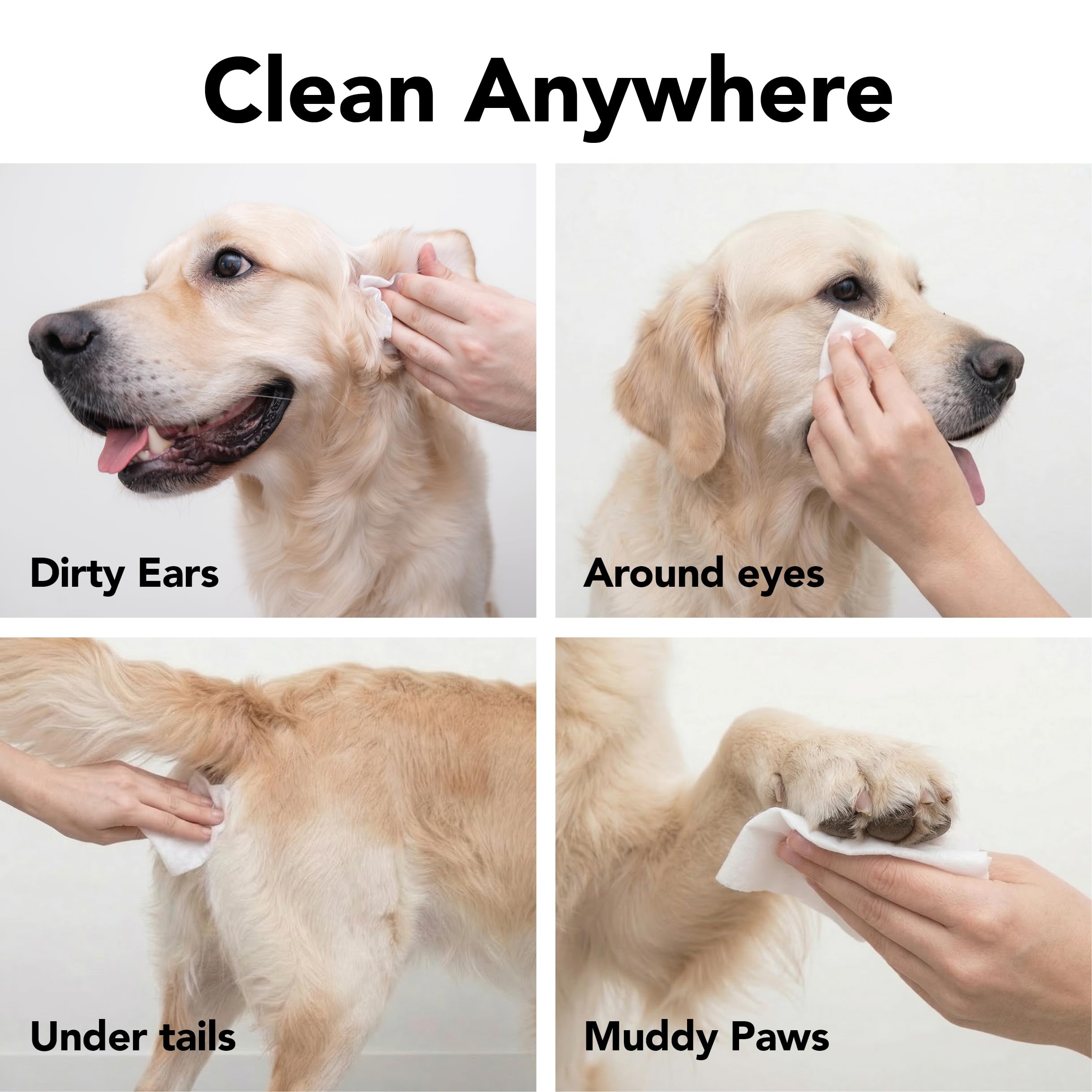 Pride and Groom The Swipe after-dinner wipe deodorizes and freshens fur and face.