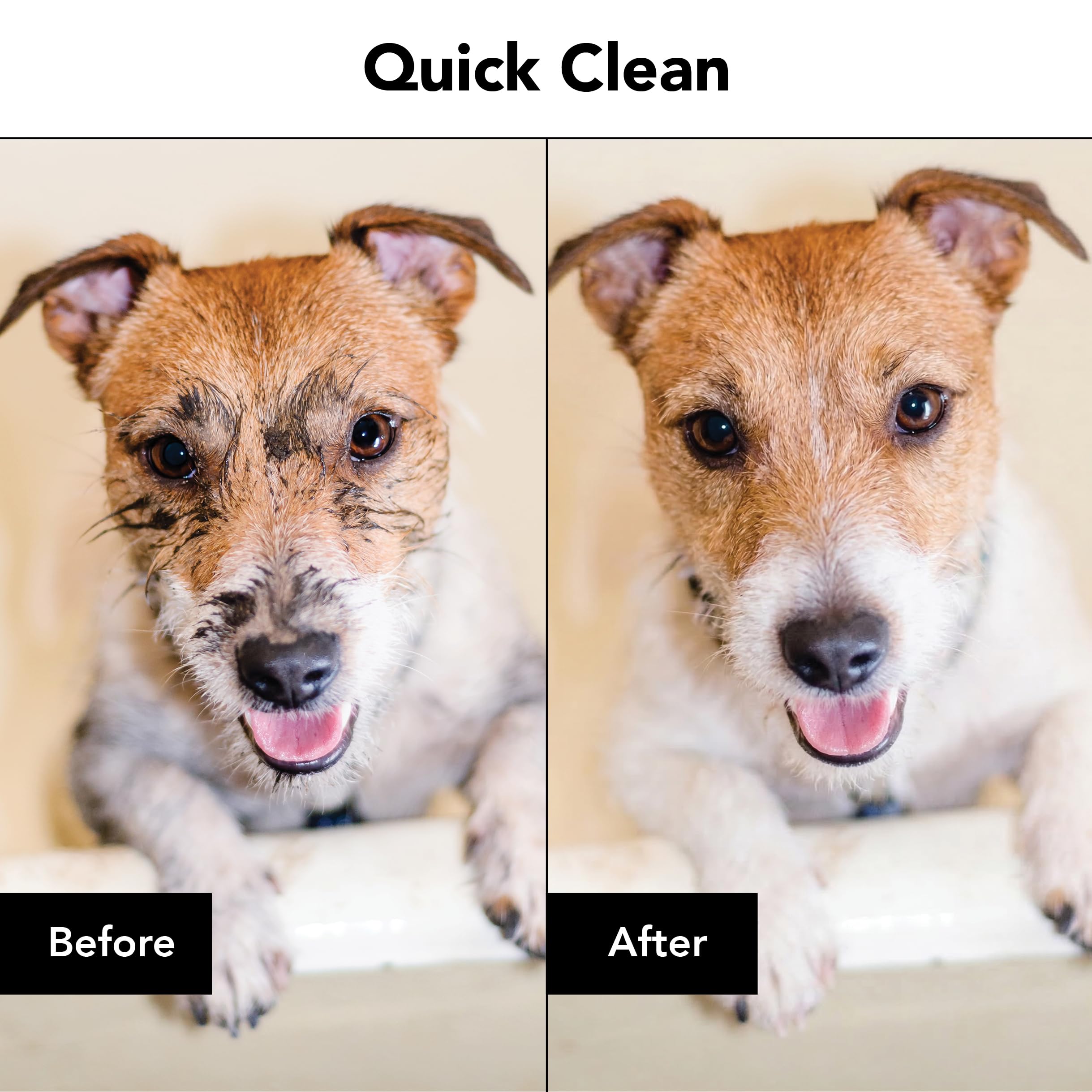 Pride and Groom The Swipe between-baths wipe quick clean without water.