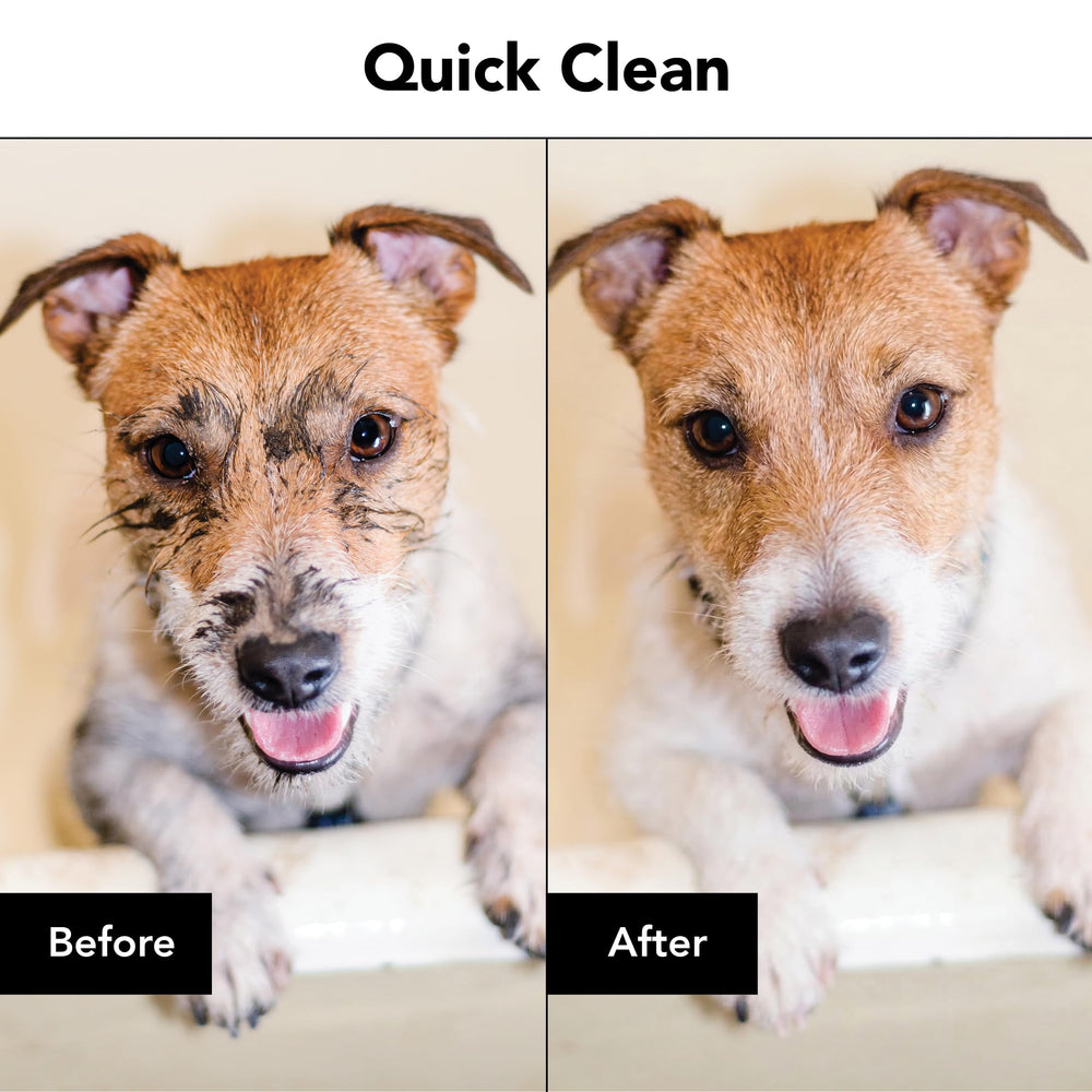 Pride and Groom The Swipe between-baths wipe quick clean without water.