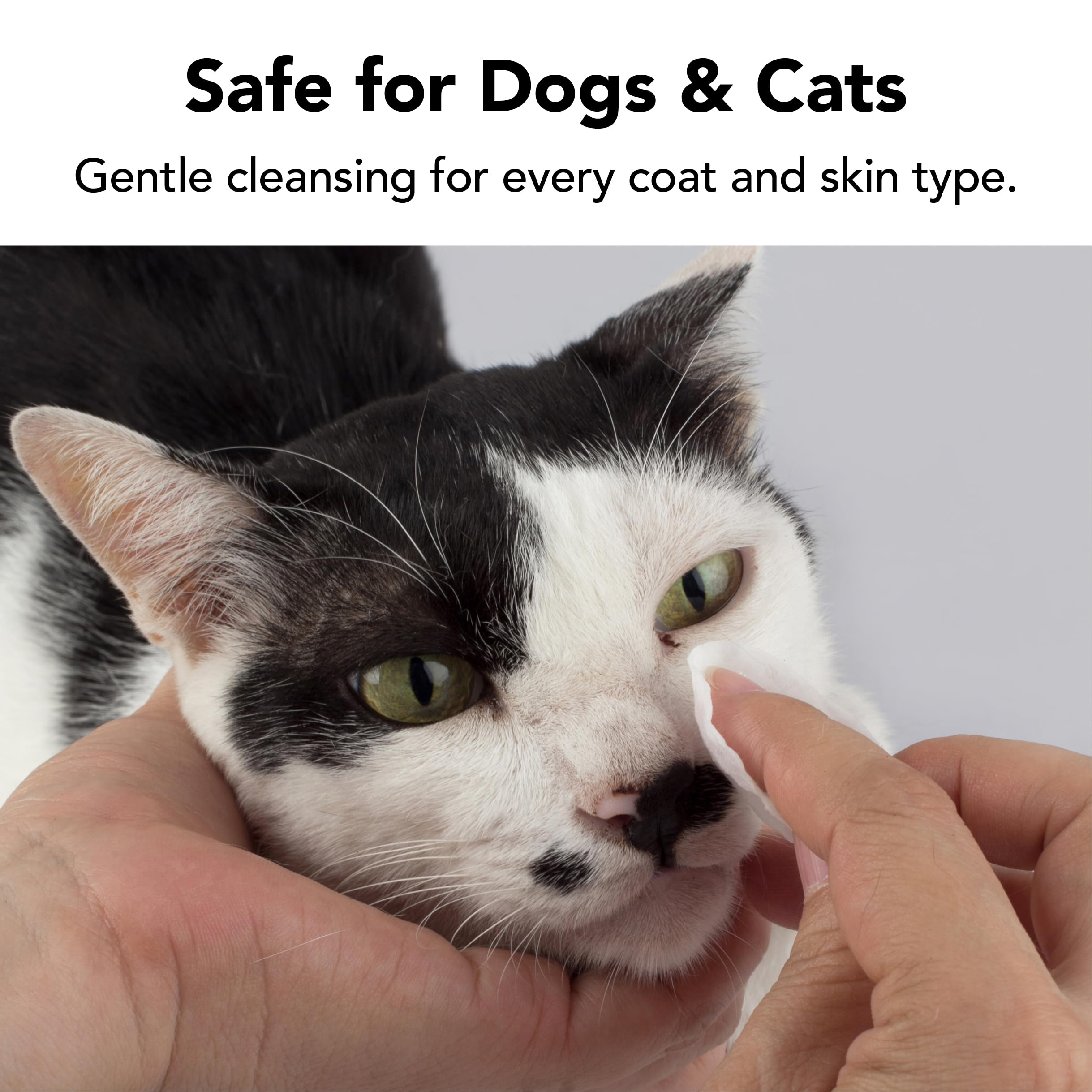 Pride and Groom The Swipe no-water-needed wipe for mess-free maintenance.
