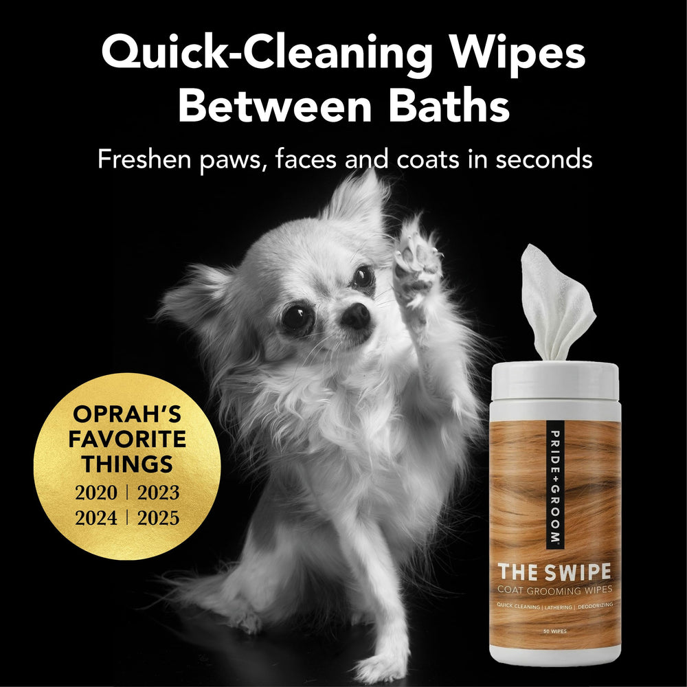 Pride and Groom The Swipe paw wipe cleans paws between adventures and odors.