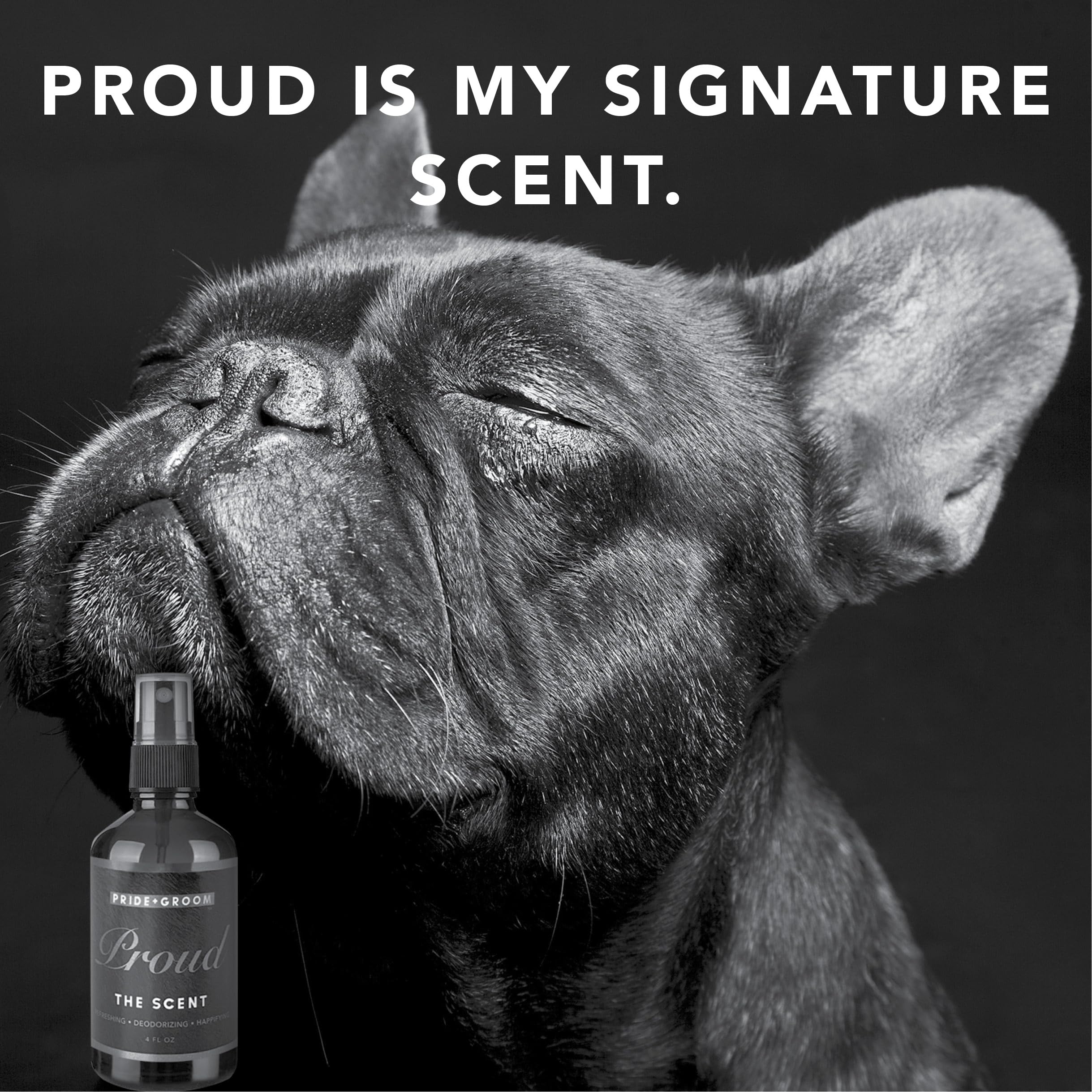 Pride and Groom USA-made tag signaling trusted, high-quality grooming.