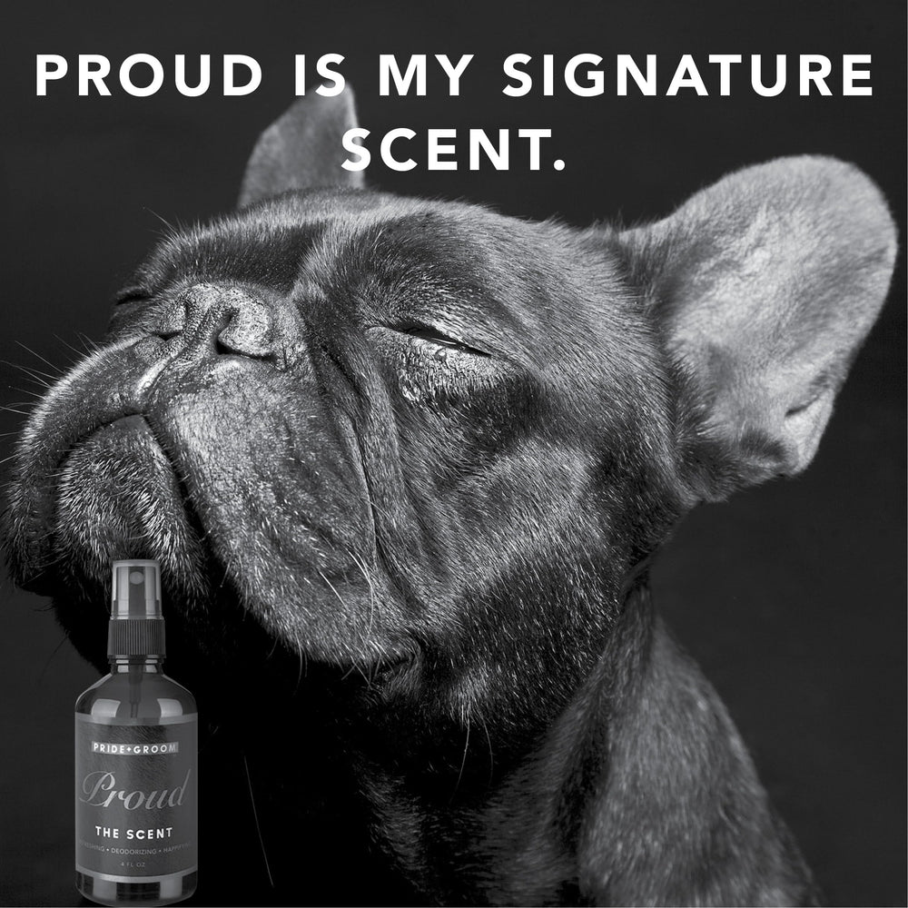 Pride and Groom USA-made tag signaling trusted, high-quality grooming.