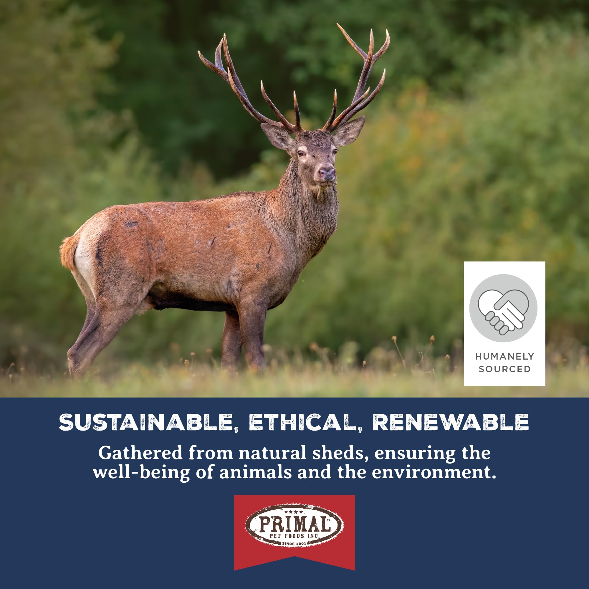 Primal Antlers 30-45 lb dog image links product to medium-to-large breeds.