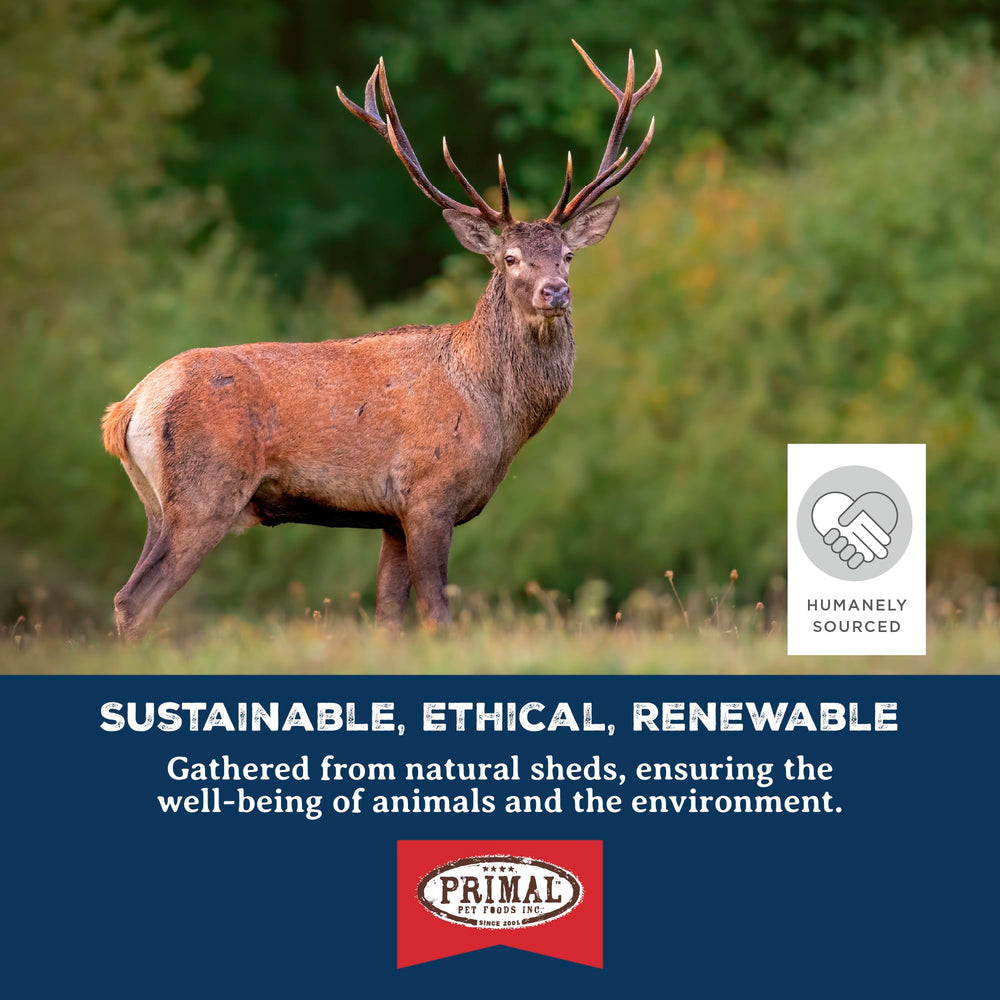 Primal Antlers 30-45 lb dog image links product to medium-to-large breeds.
