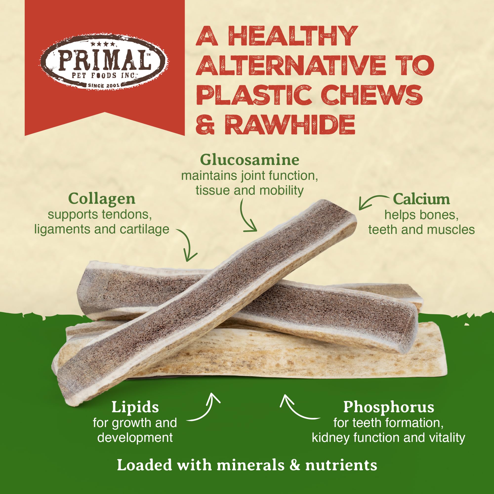 Primal Antlers dog chewing closeup shows durable texture for aggressive chewers.