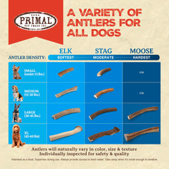 Primal Antlers large-dog enjoying chew demonstrates calm enrichment.