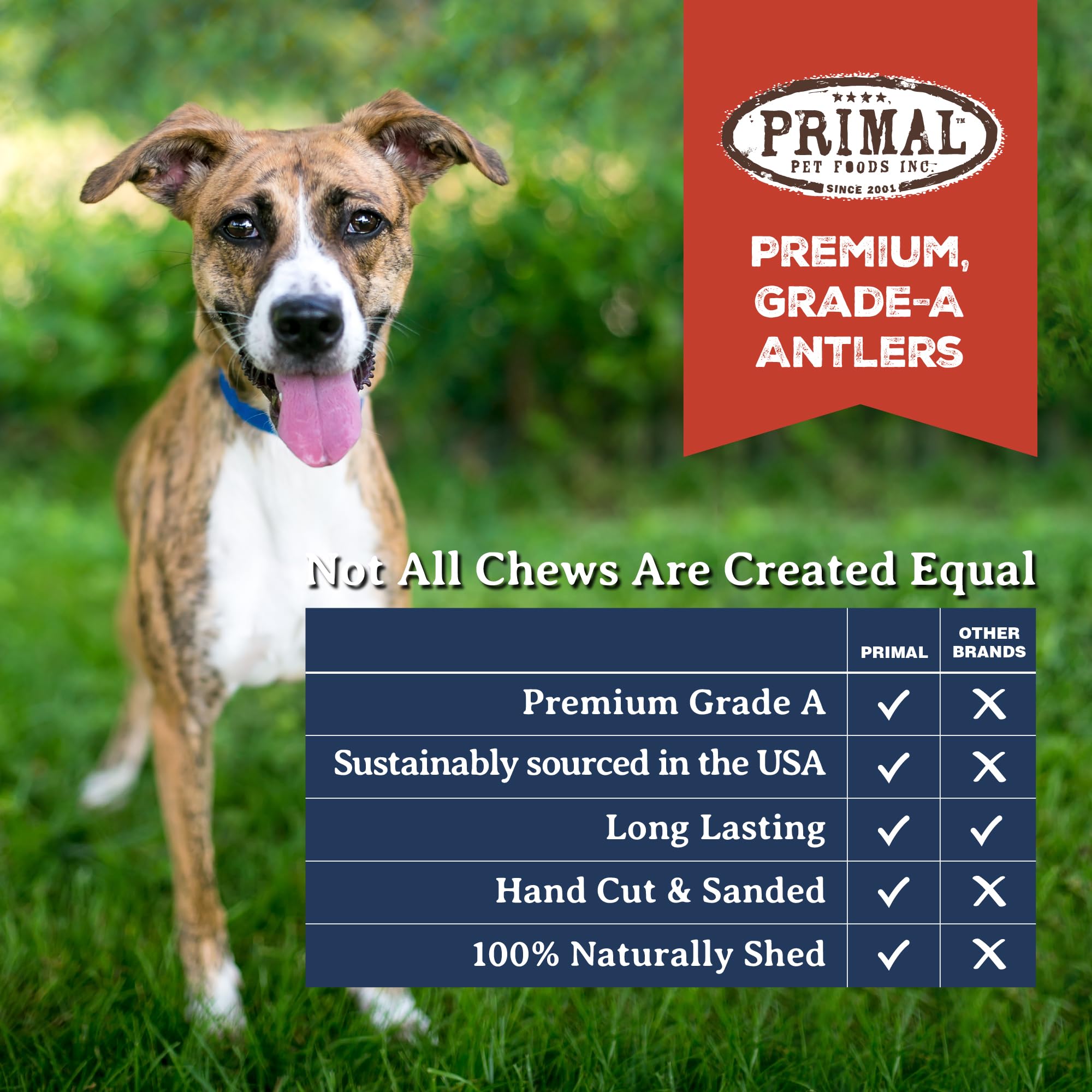 Primal Antlers natural shed antlers emphasize sustainable, chemical-free options.
