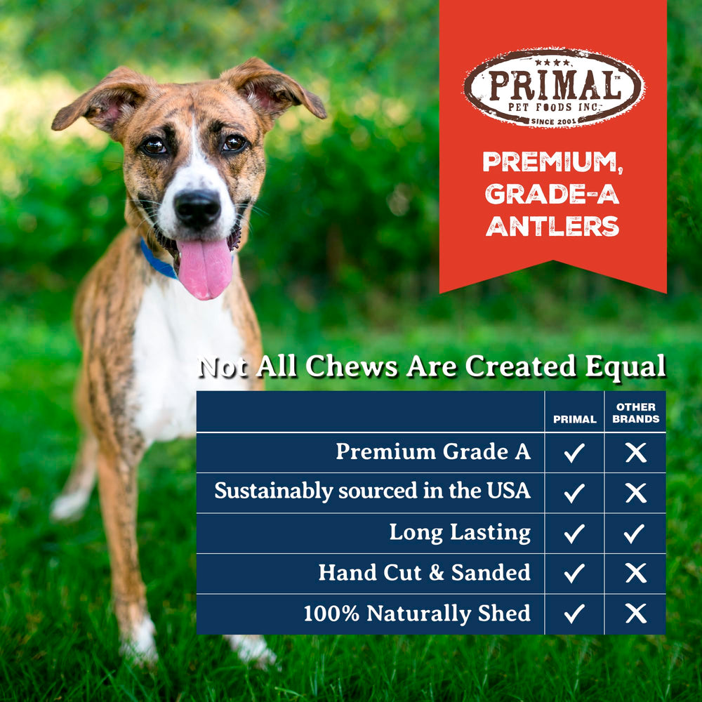 Primal Antlers natural shed antlers emphasize sustainable, chemical-free options.