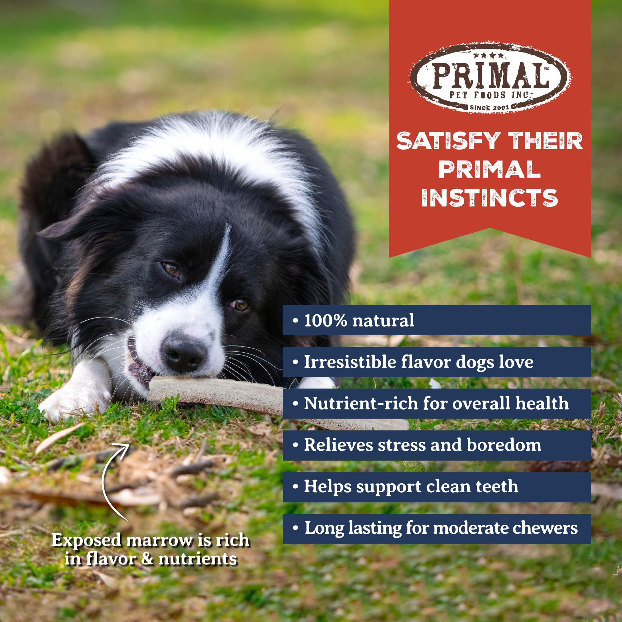 Primal Antlers packaging highlights natural sourcing and long-lasting chews.