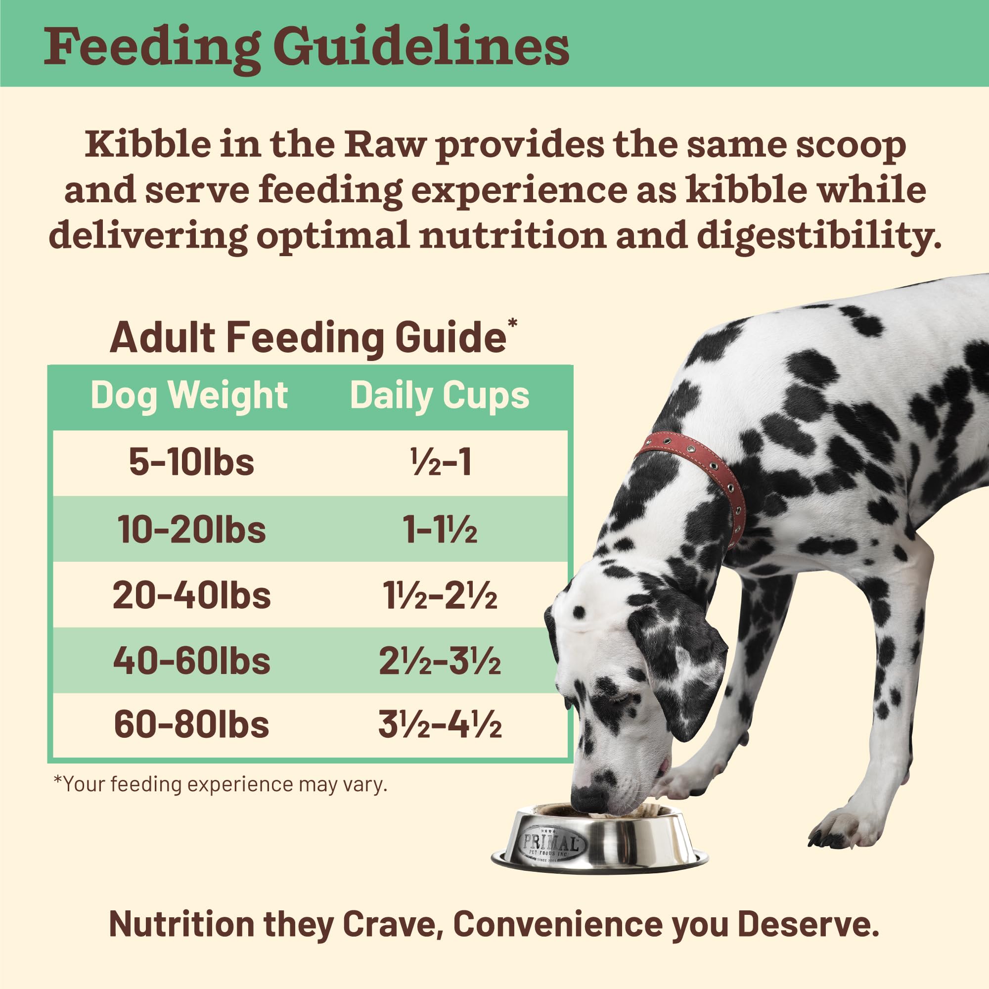 Dog enjoying dry kibble from a bowl, ready-to-serve convenience.