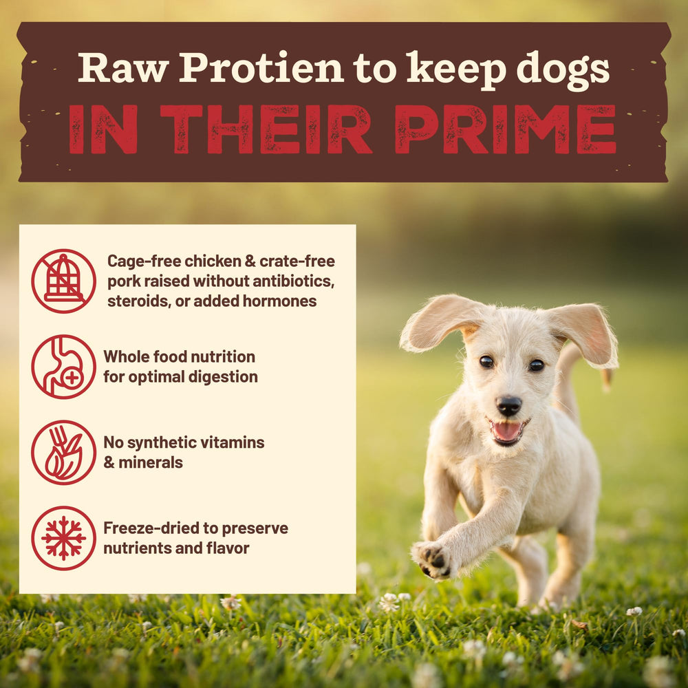 Primal Kibble in the Raw cage-free chicken emphasizes high-quality protein for muscles.
