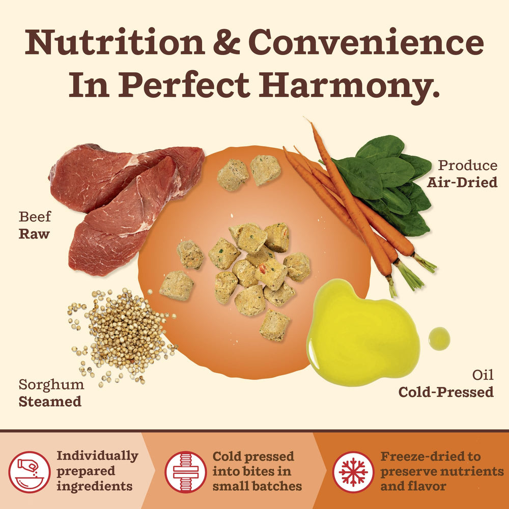 Grain-free, grass-fed beef bites from Primal Kibble in The Raw.