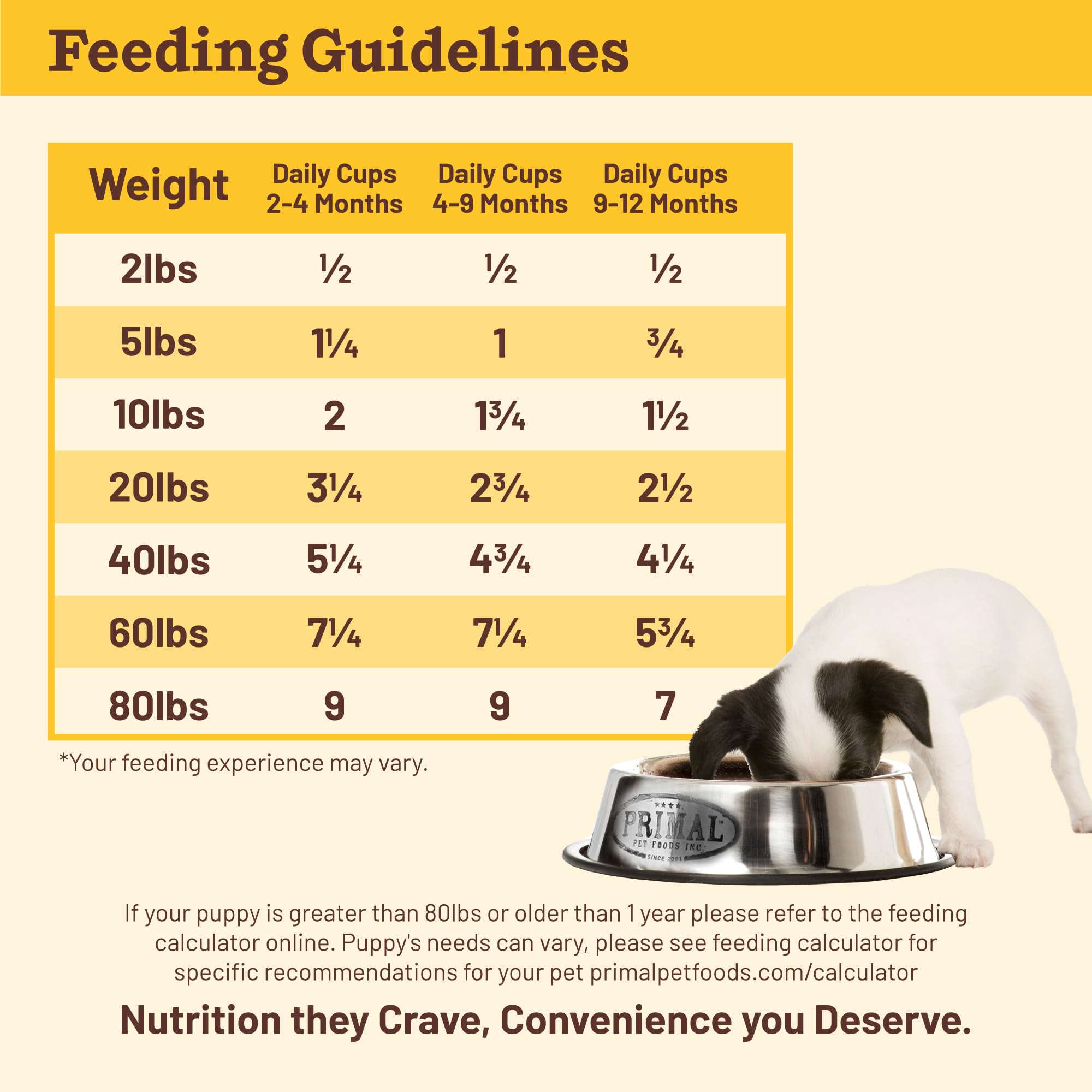 Primal Kibble in the Raw puppy growth bite showcases energy for active pups.