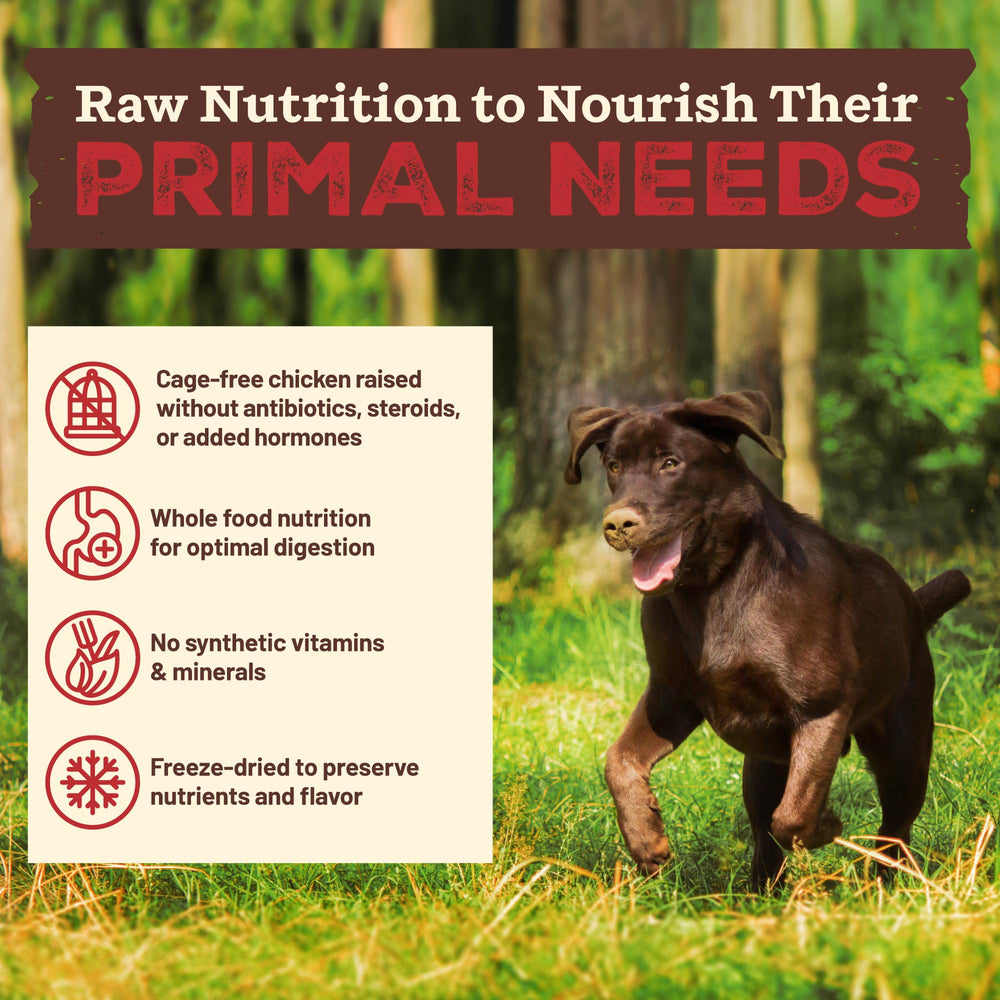 Primal Kibble in the Raw real whole foods with carrots and kale image.