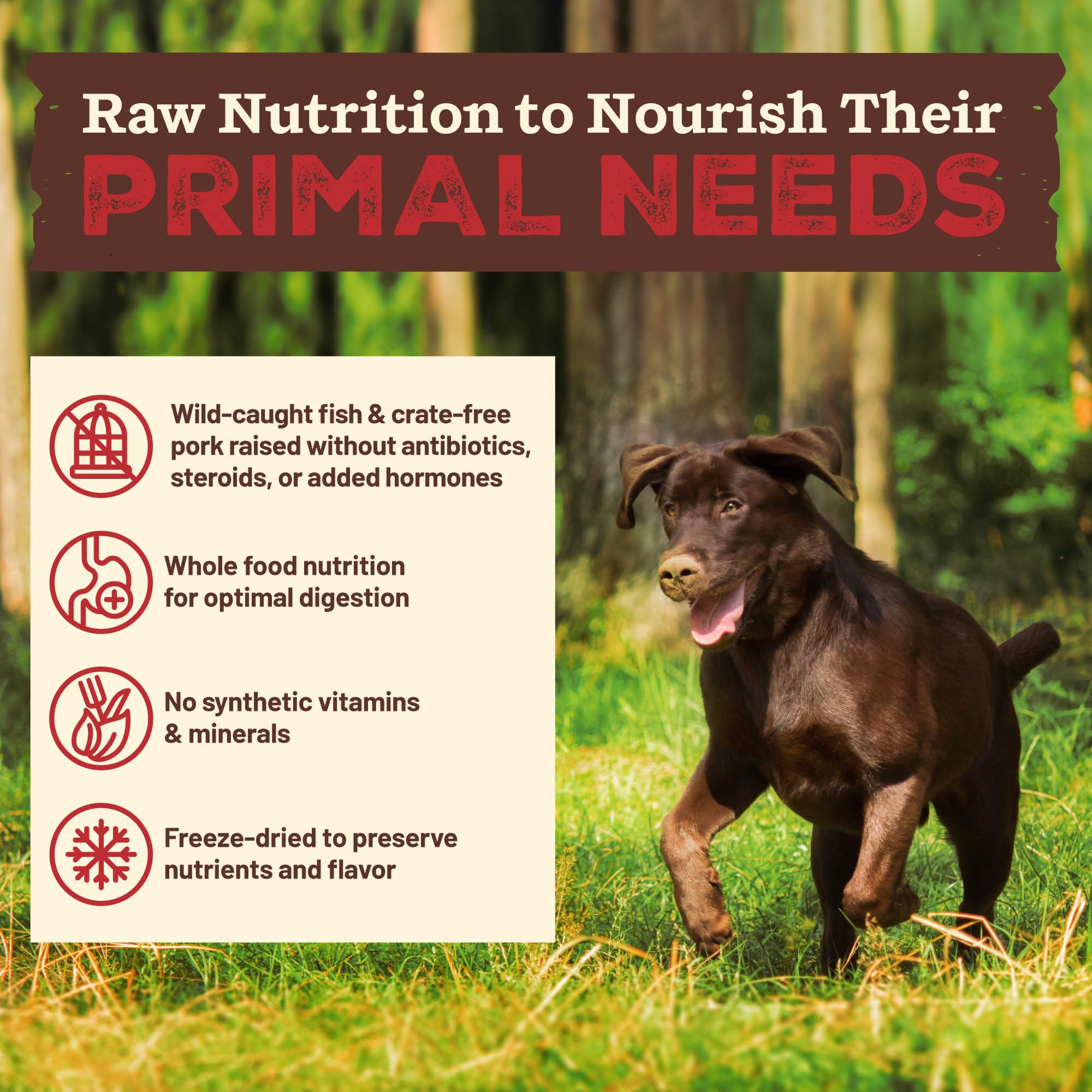 Primal Kibble in The Raw wild-caught fish protein highlights omega fatty acids.
