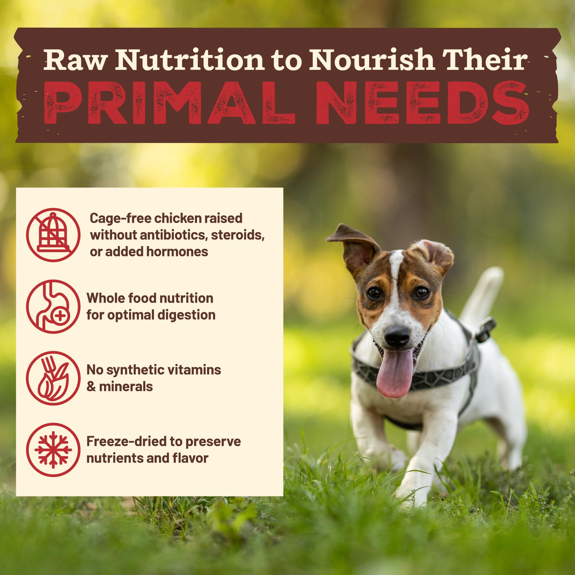 Primal Kibble ingredients organic kale, carrots, sweet potatoes, and apples.