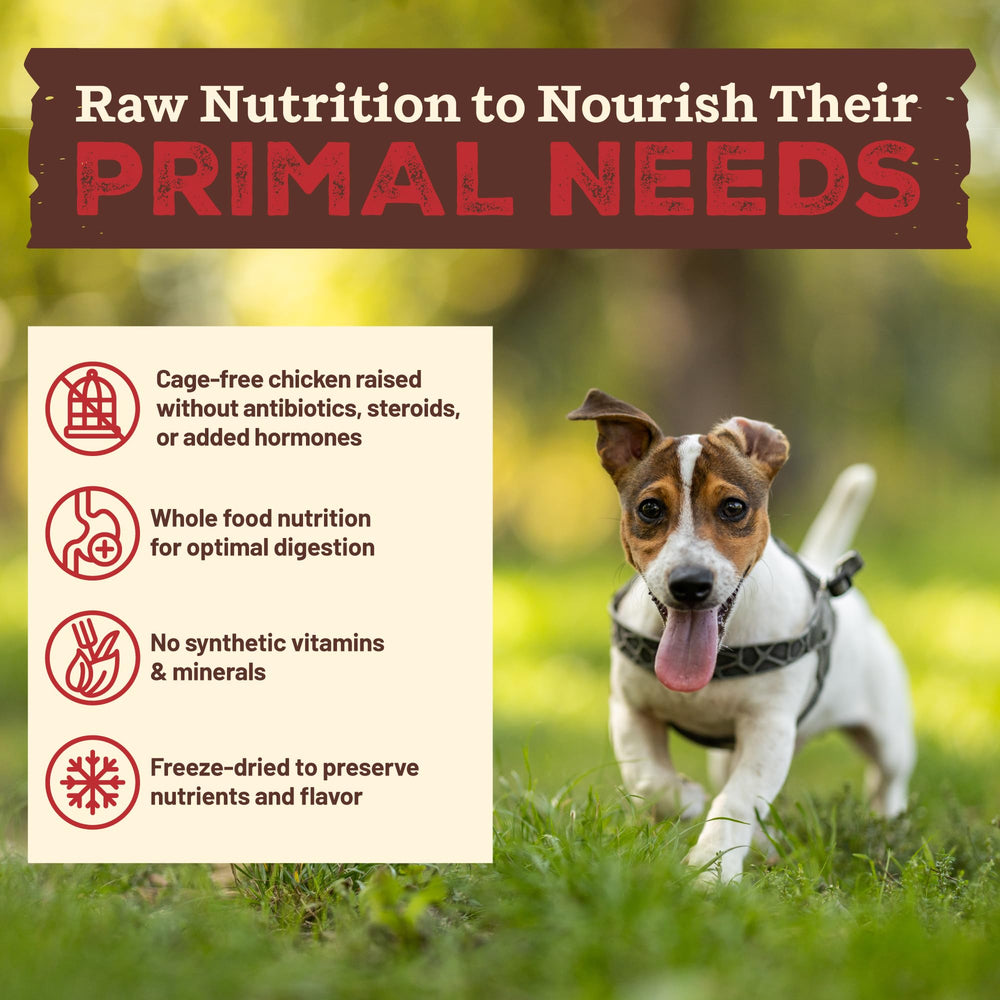 Primal Kibble ingredients organic kale, carrots, sweet potatoes, and apples.
