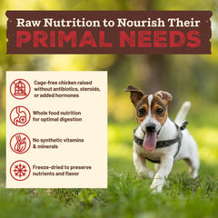 Primal Kibble ingredients organic kale, carrots, sweet potatoes, and apples.