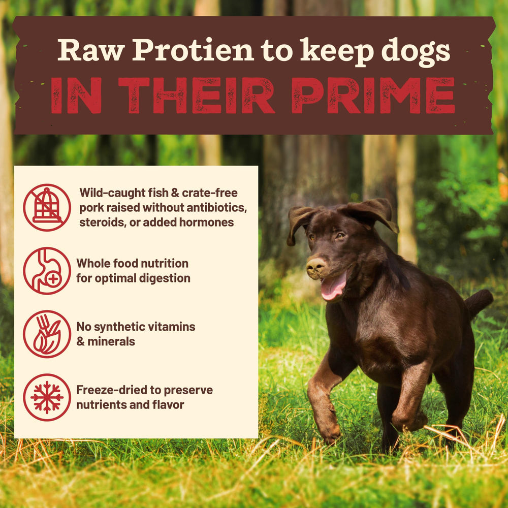 Primal Kibble with organic kale, spinach, apples for natural nutrition.