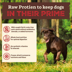 Primal Kibble with organic kale, spinach, apples for natural nutrition.