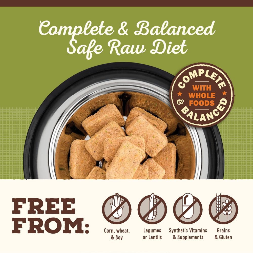 Primal Pet Foods Lamb Nuggets being offered during a dog's mealtime.