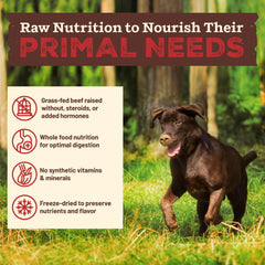 Primal Kibble in The Raw grass-fed beef closeup highlights quality protein.