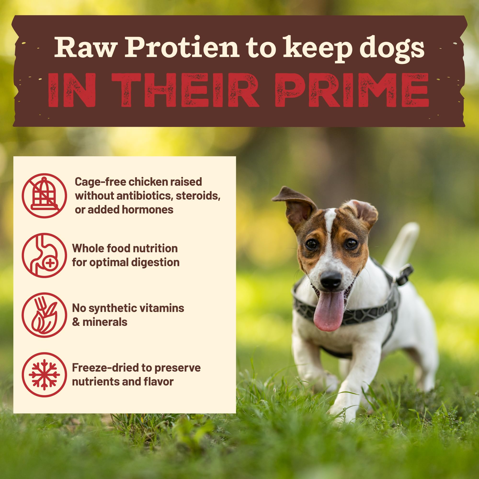 Primal Pet Foods real whole-food base with kale and vegetables for natural nutrition.