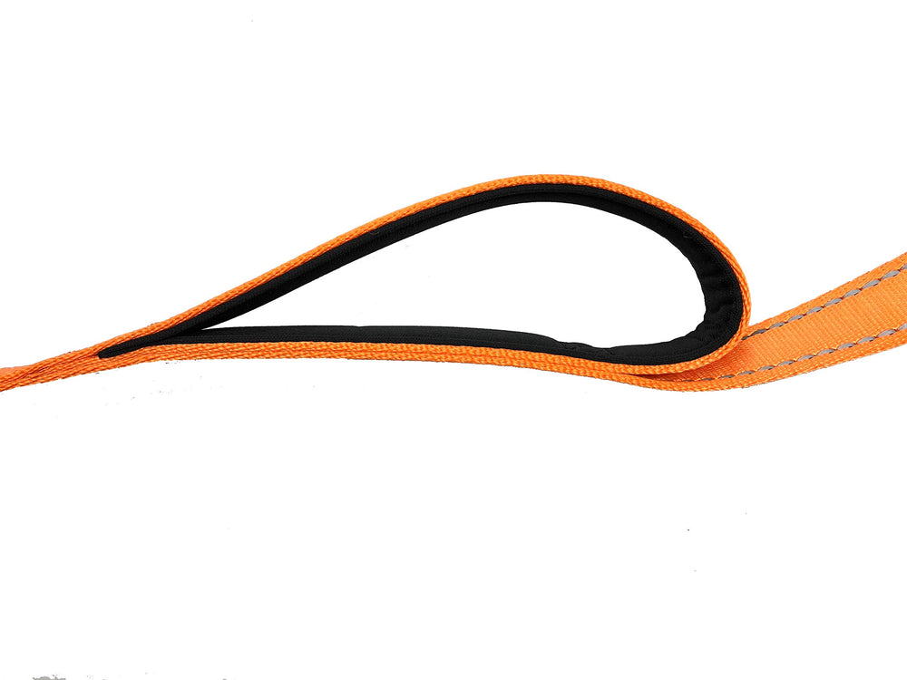 Primal Pet Gear 6ft dog leash suitable for large dogs