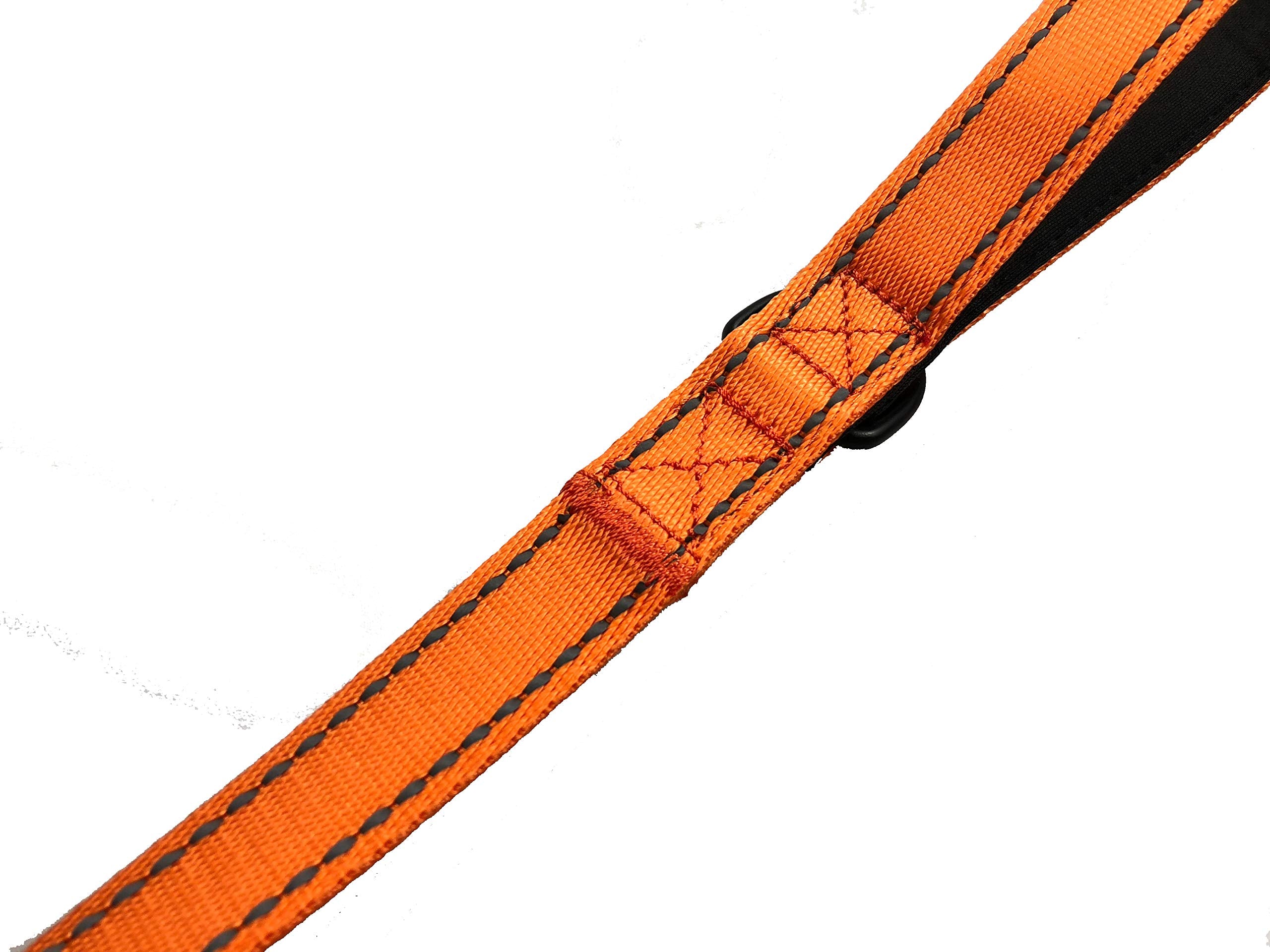 Primal Pet Gear durable outdoor leash for versatile activities