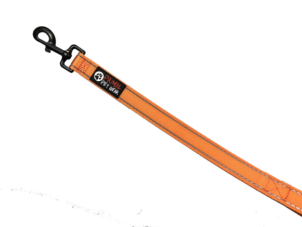 Primal Pet Gear leash with reflective stitching boosts dusk visibility