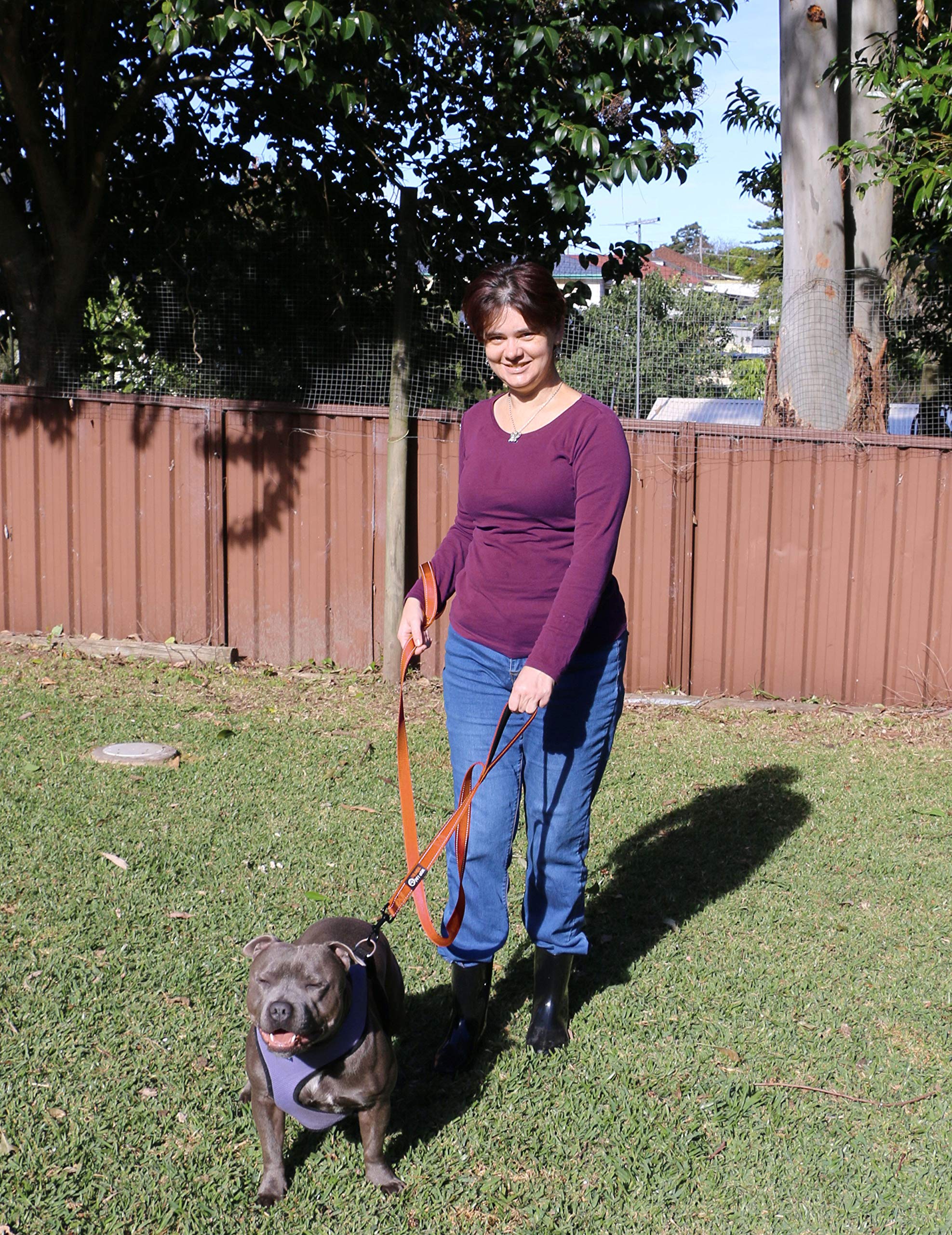 Primal Pet Gear dog leash with reflective stitching for night visibility