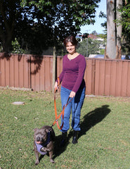 Primal Pet Gear dog leash with reflective stitching for night visibility