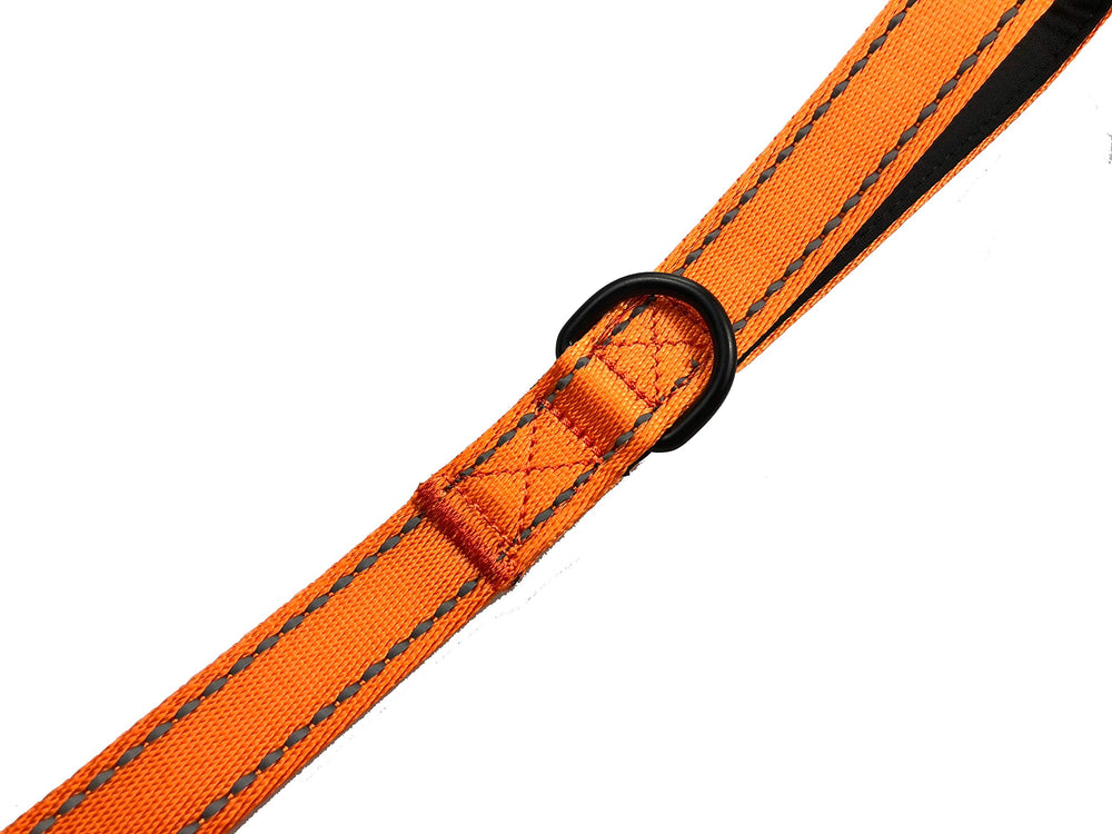 Primal Pet Gear leash supports safe urban walks with dual-control design