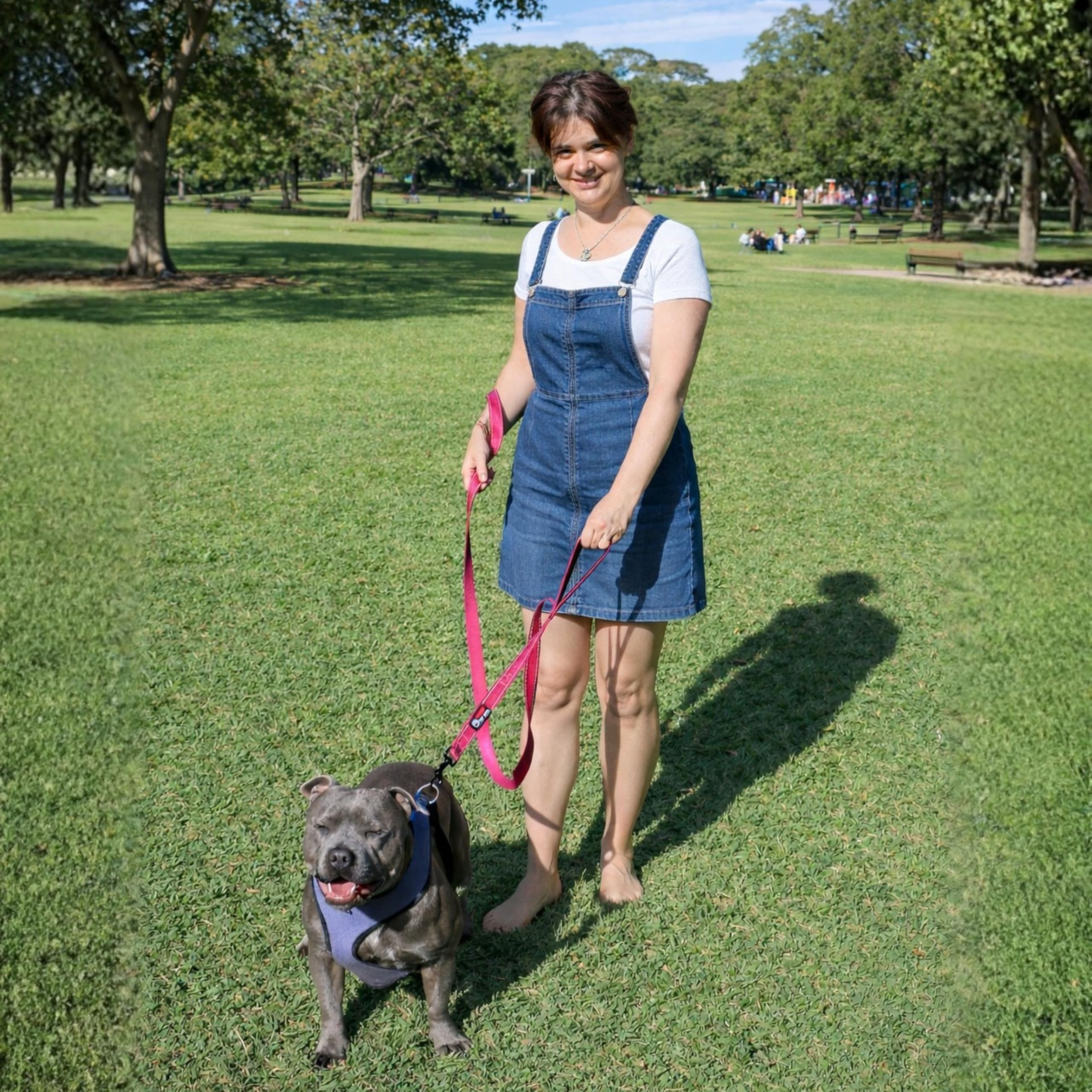 Primal Pet Gear traffic-padded handles improve walking comfort.