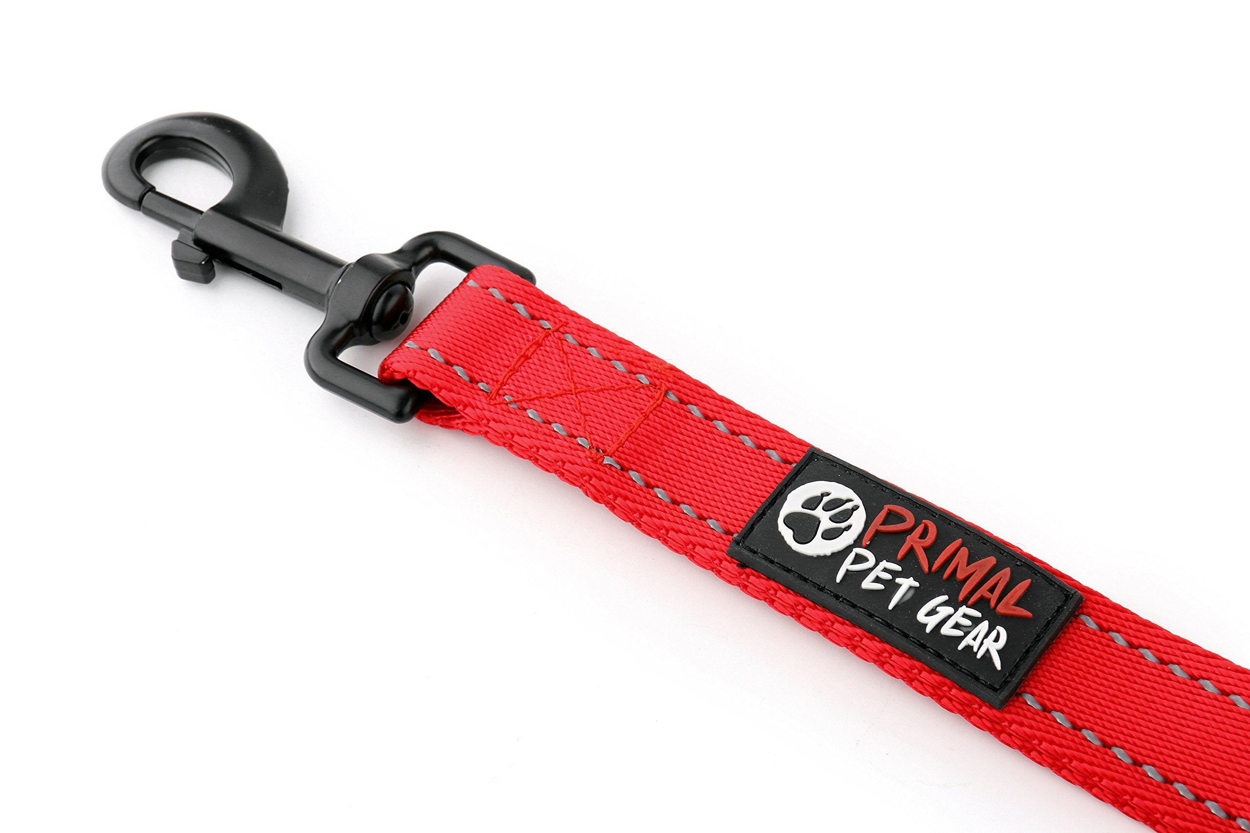 Primal Pet Gear urban walk setup with enhanced safety features