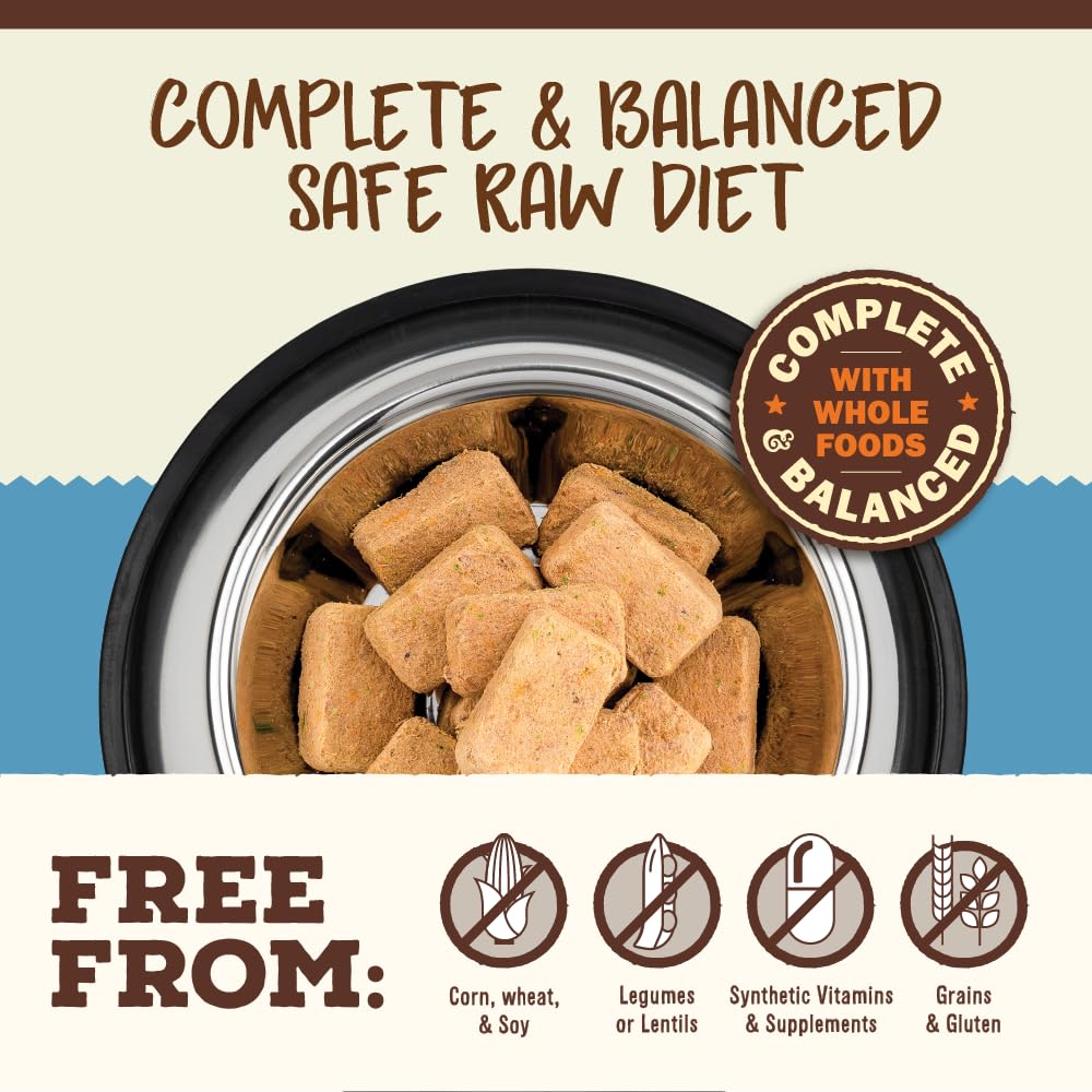 Primal raw cat food in a bowl, rehydrated for a soft, appealing texture.