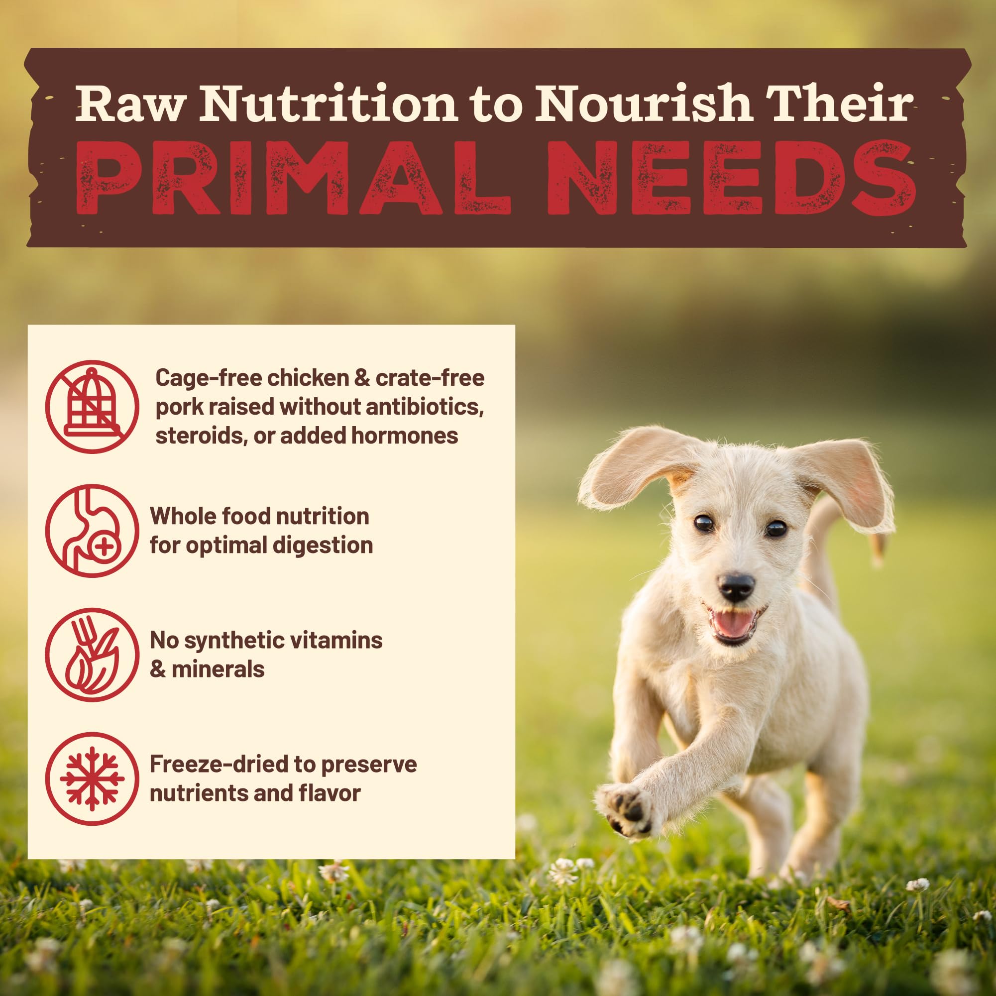 Primal Kibble in The Raw ingredients showing organic carrots, apples, kale, and sweet potatoes.