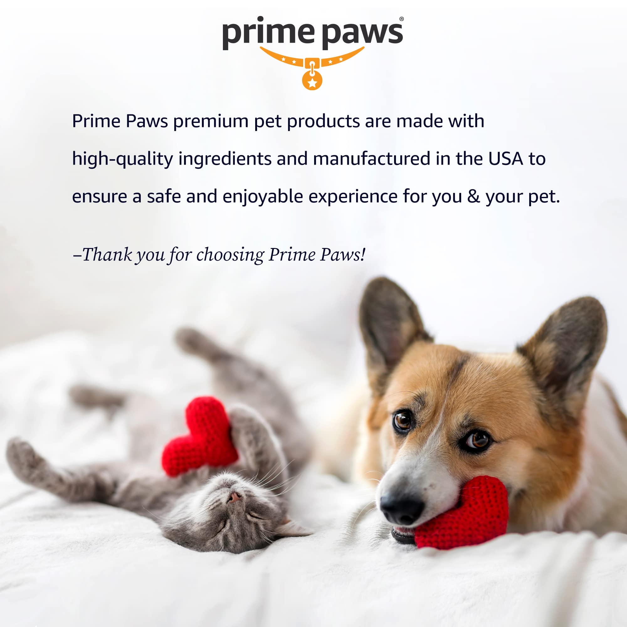 Prime Paws ear care acidifies canal to discourage organic growth.