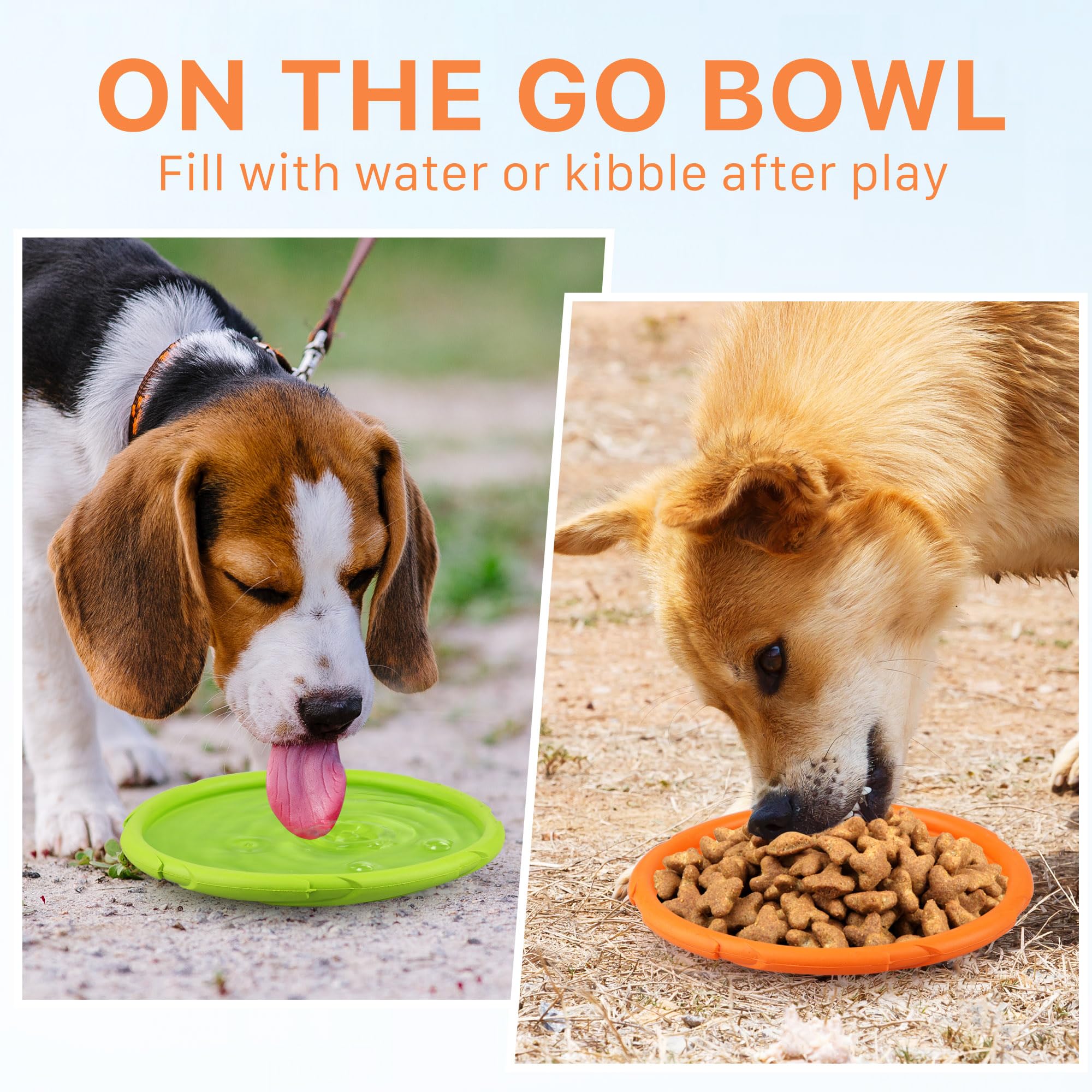 Prime Pets two-disc pack highlights value for training and repeated fetch sessions.