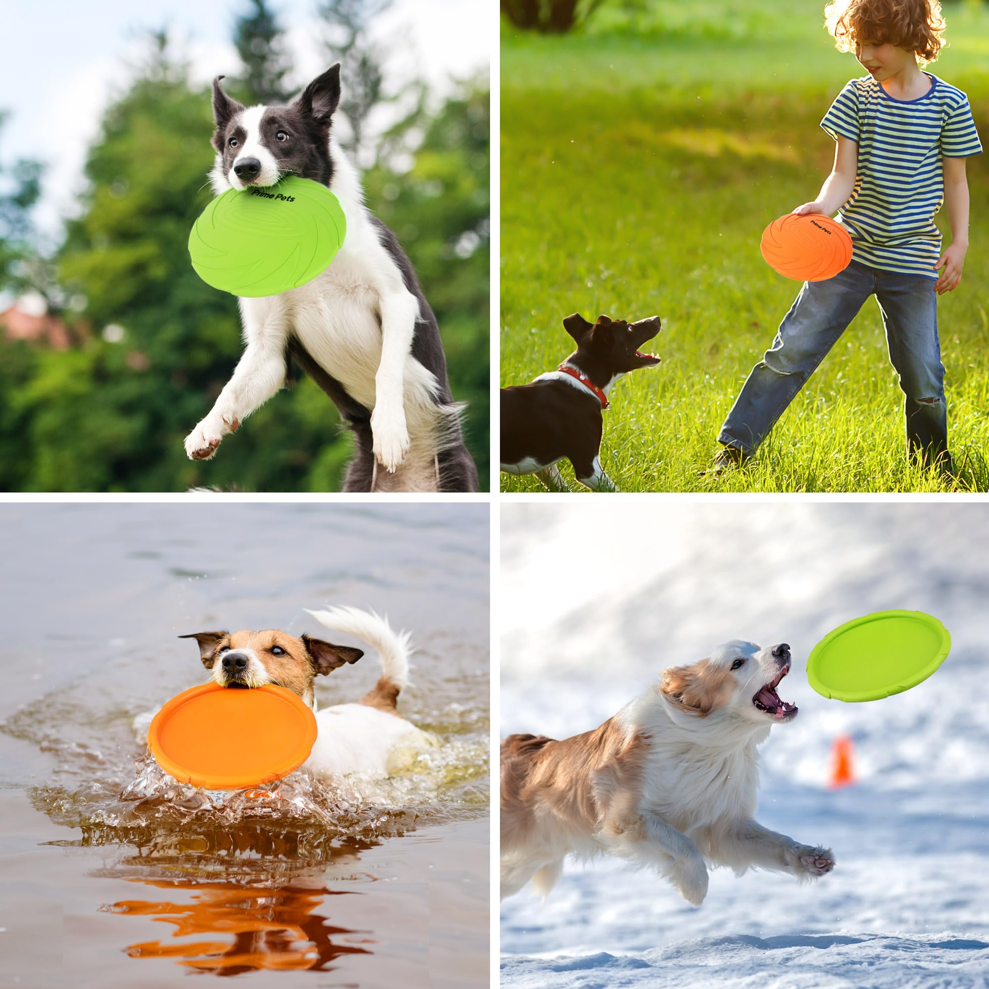 Prime Pets disc doubles as a water bowl during thirsty moments.