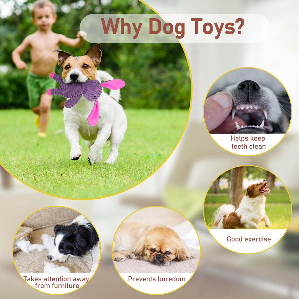 Prime Pets squeaker toy adds audible engagement during fetch sessions.