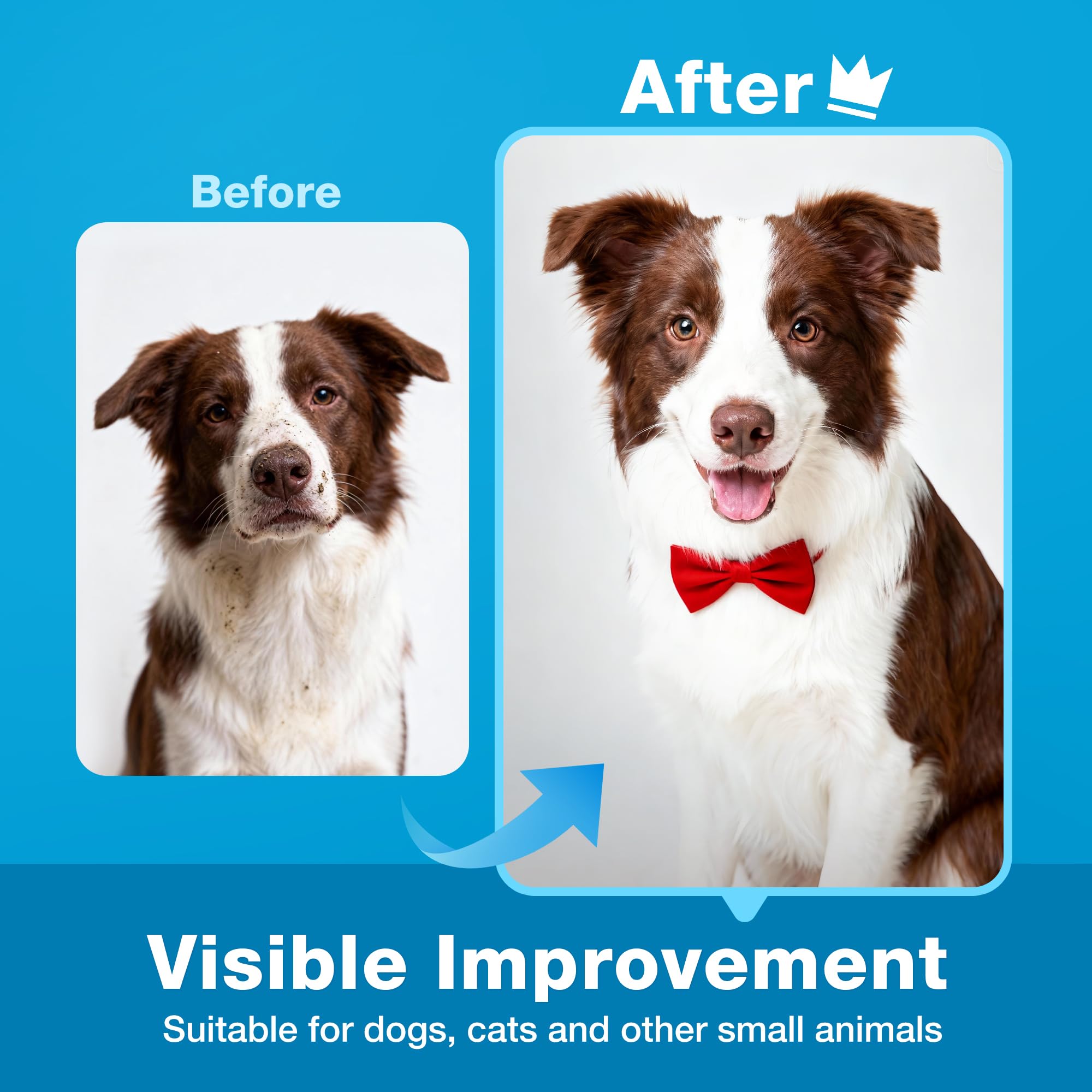Prime Pets dog wipes 600-count pack for home and travel convenience