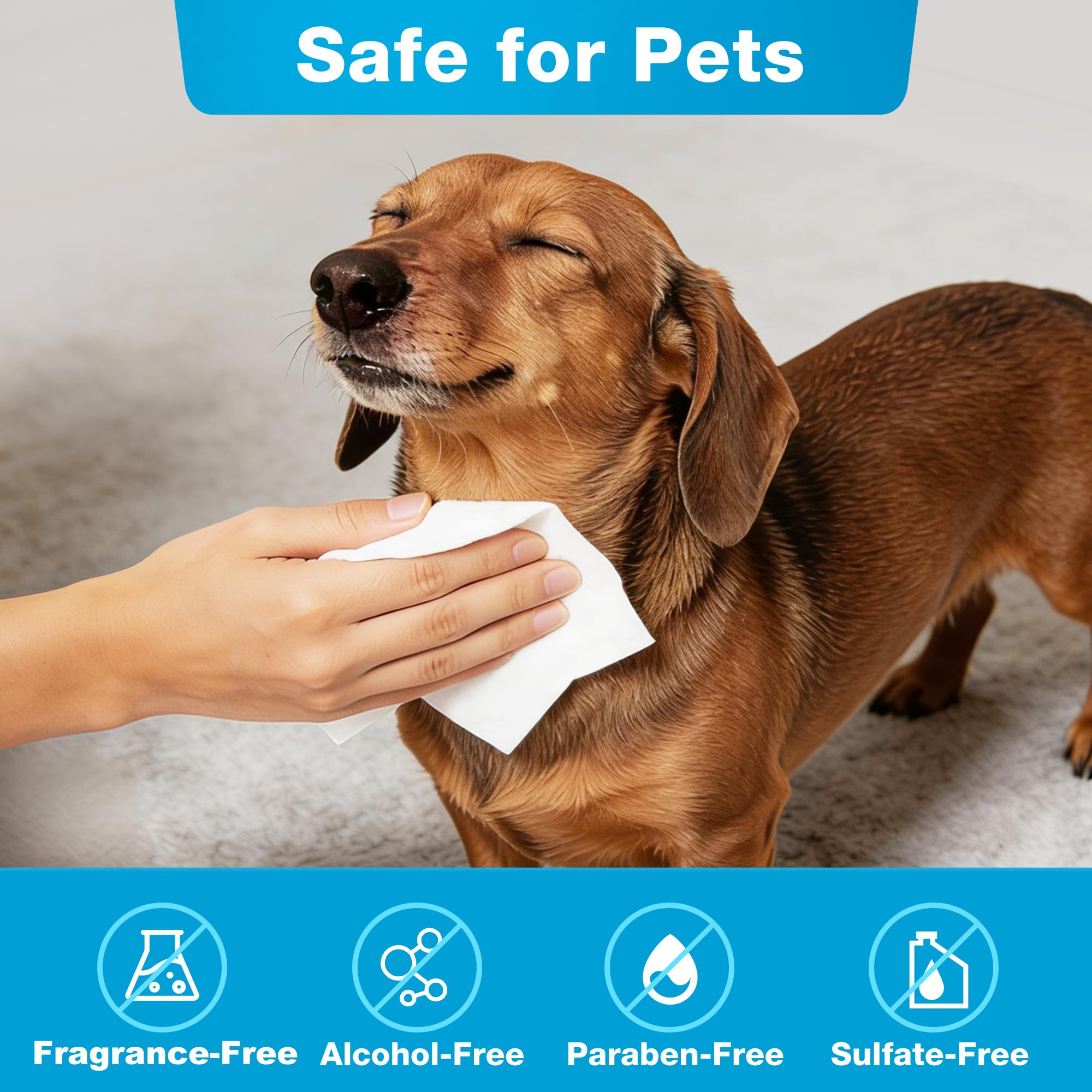 Prime Pets dog wipes freshen body fur for on-the-go cleansing