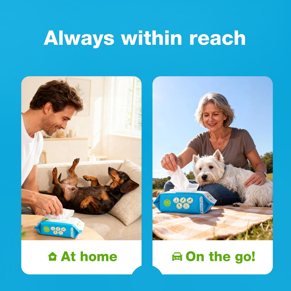 Prime Pets dog wipes on the go for travel and outdoor cleaning