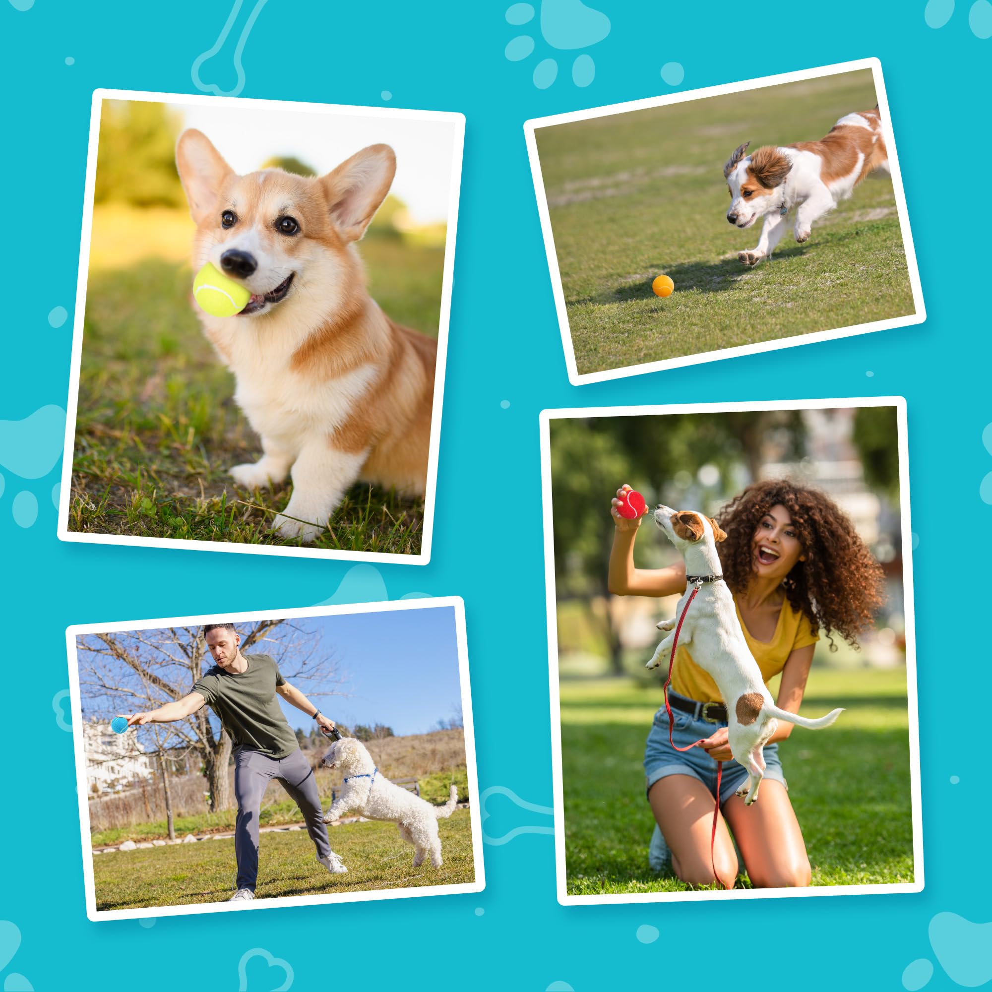 Prime Pets Natural rubber ball cleans easily after outdoor or indoor sessions.