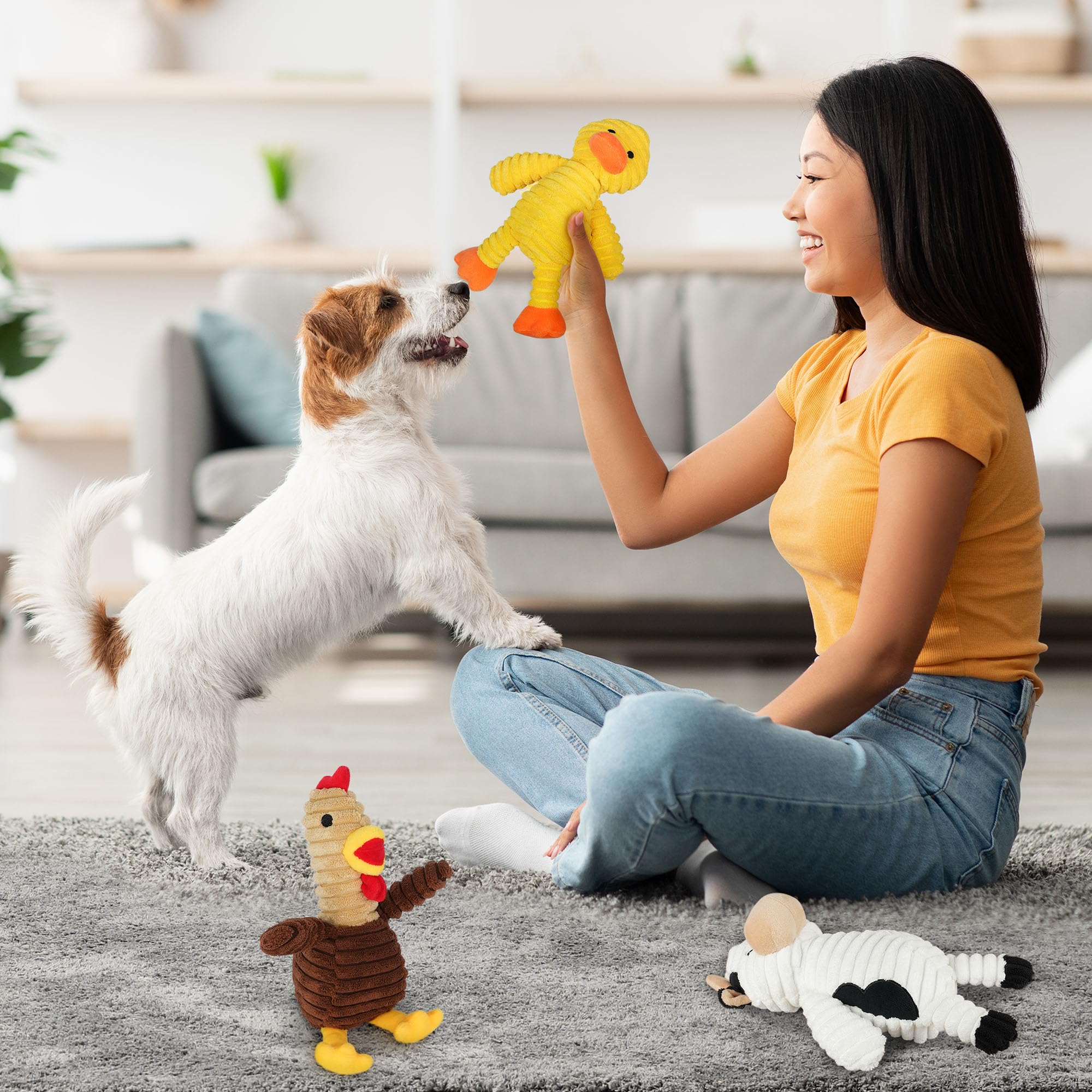 Prime Pets indoor-outdoor toy supports versatile play with multiple dogs.