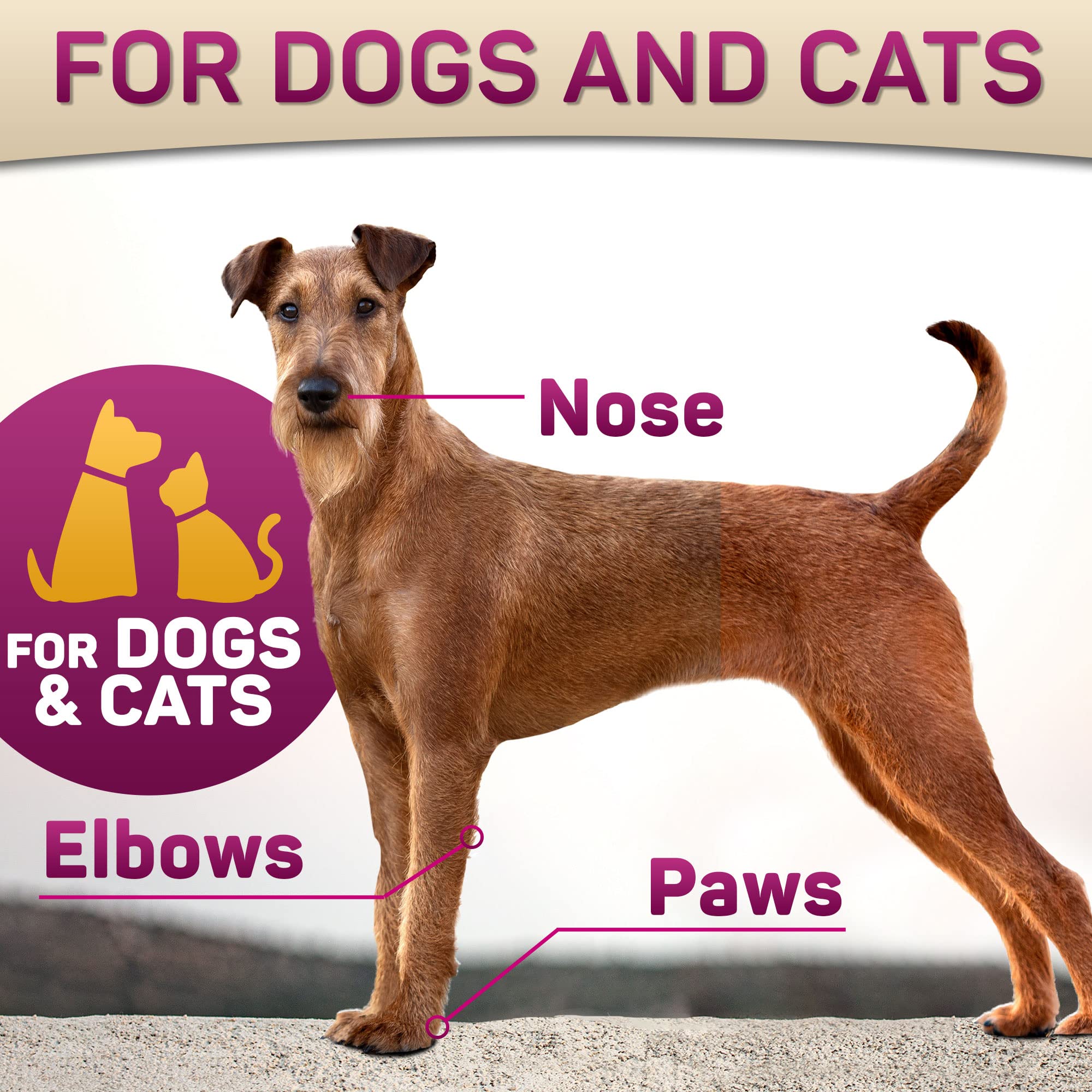Primens paw balm being applied with soft touch